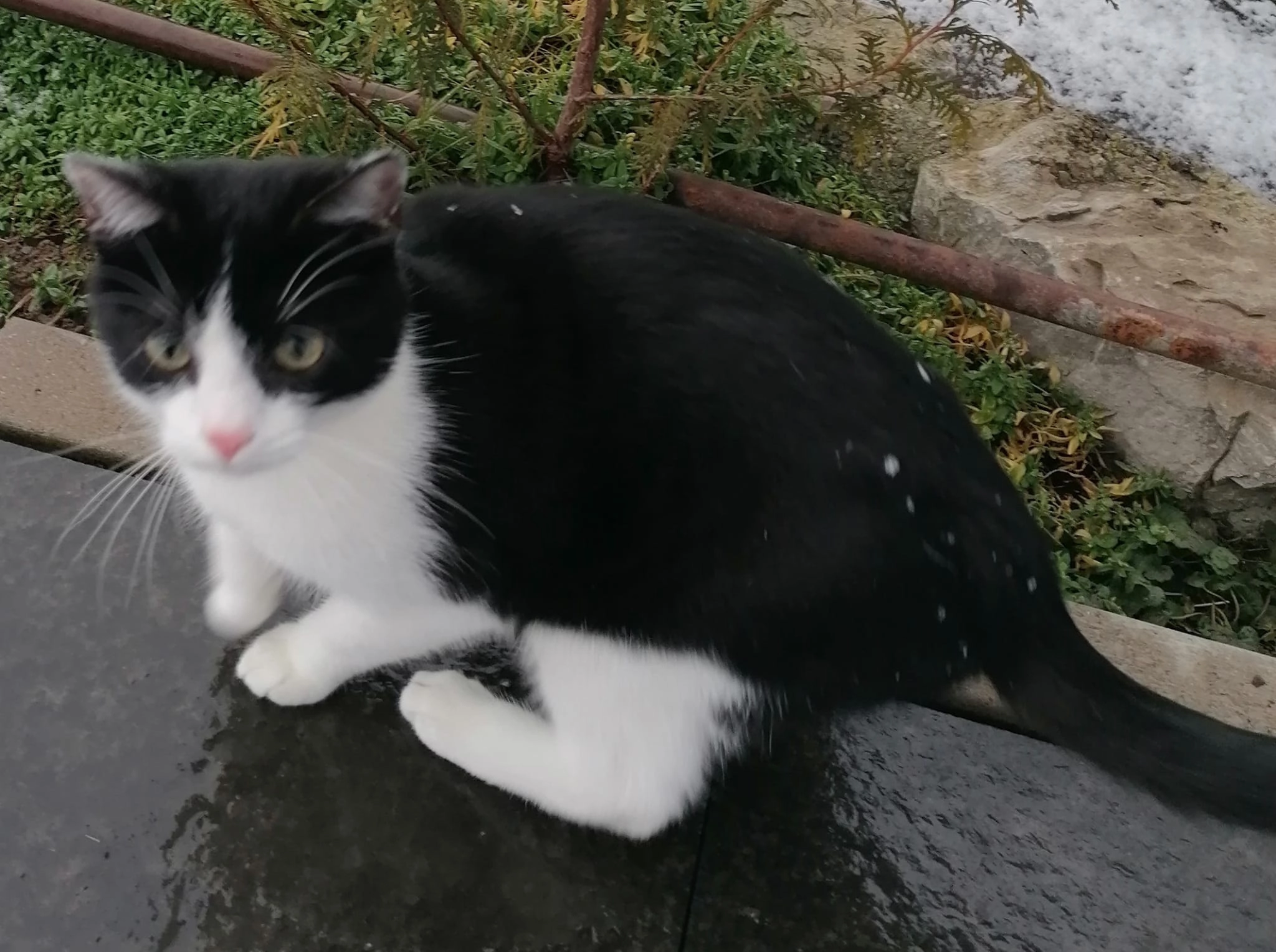 Leo - Erlenweg, Wolpertshausen