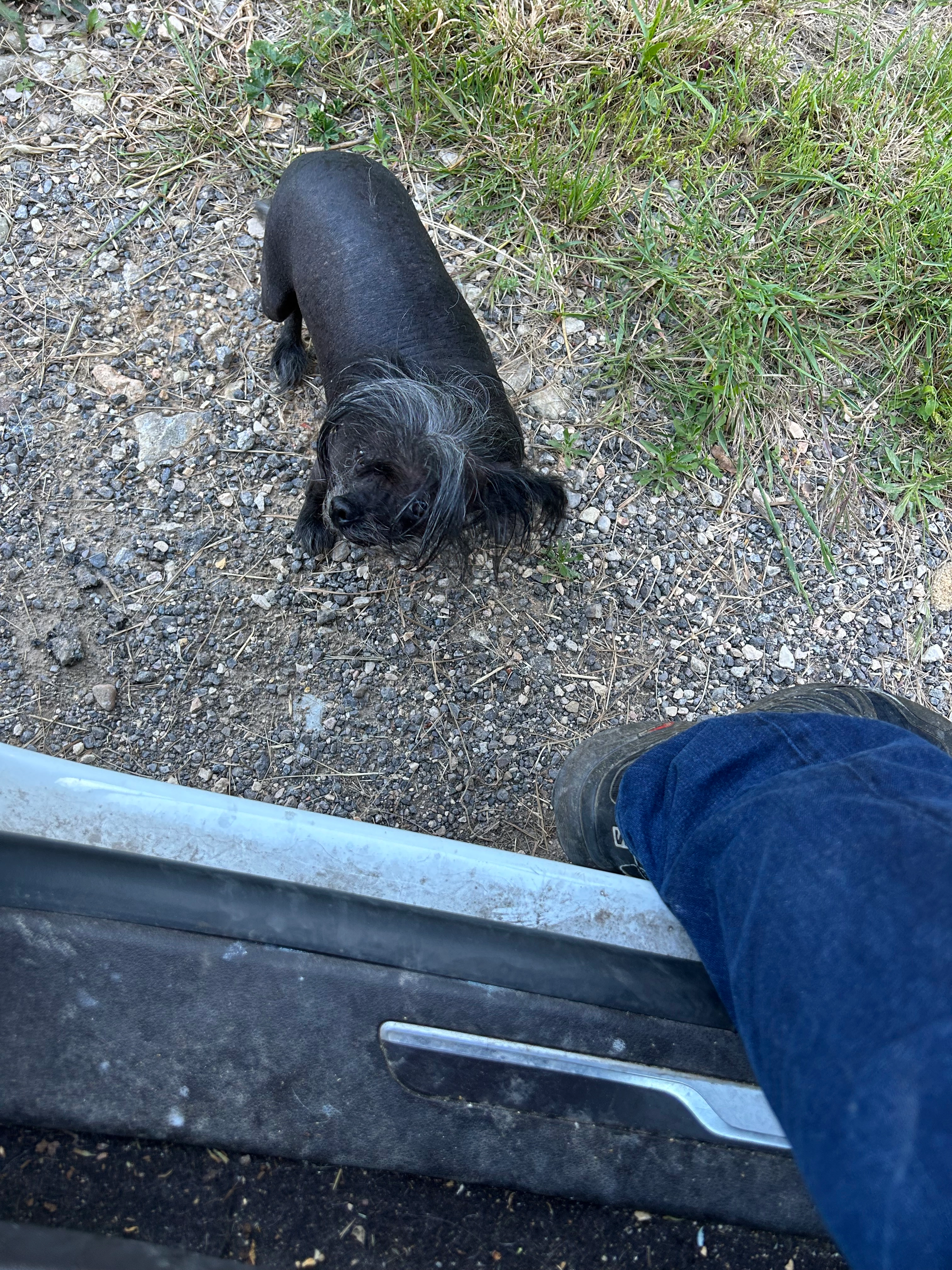 Mitsu - Route De Saint-Zacharie, Trets