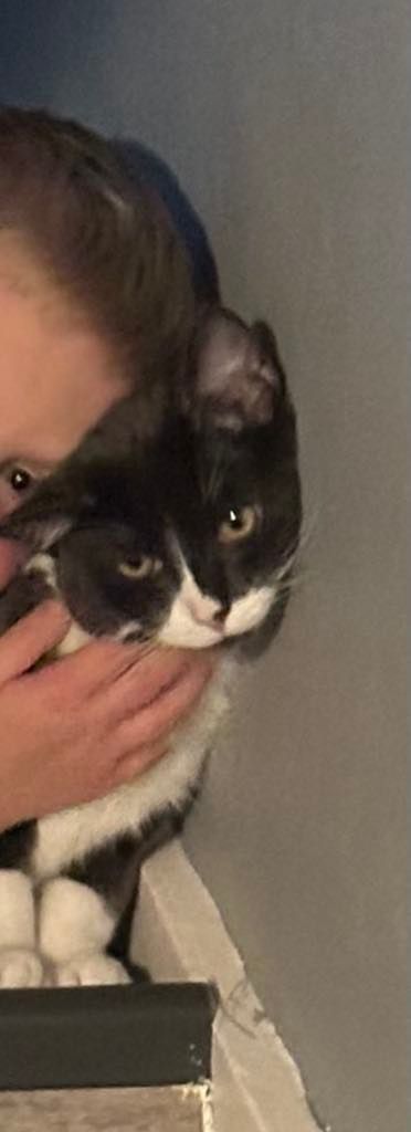 Babik - Lincoln Way, Thetford