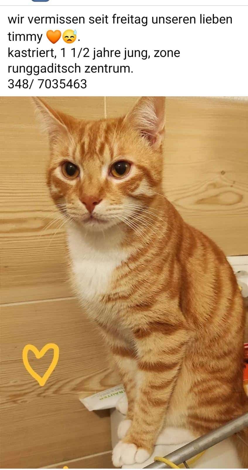 Timmy - Streda Passua, Kastelruth