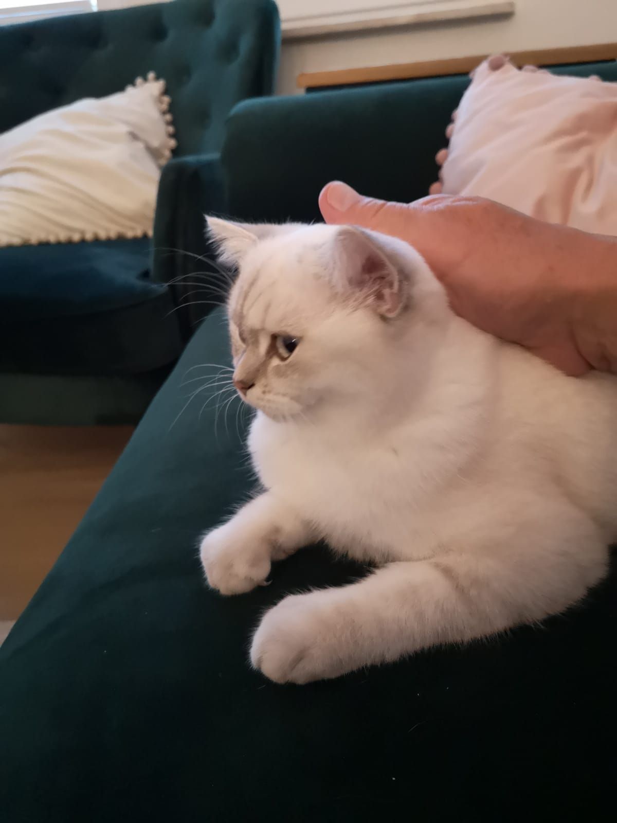 Luna - Rotdornweg, Weißenfels