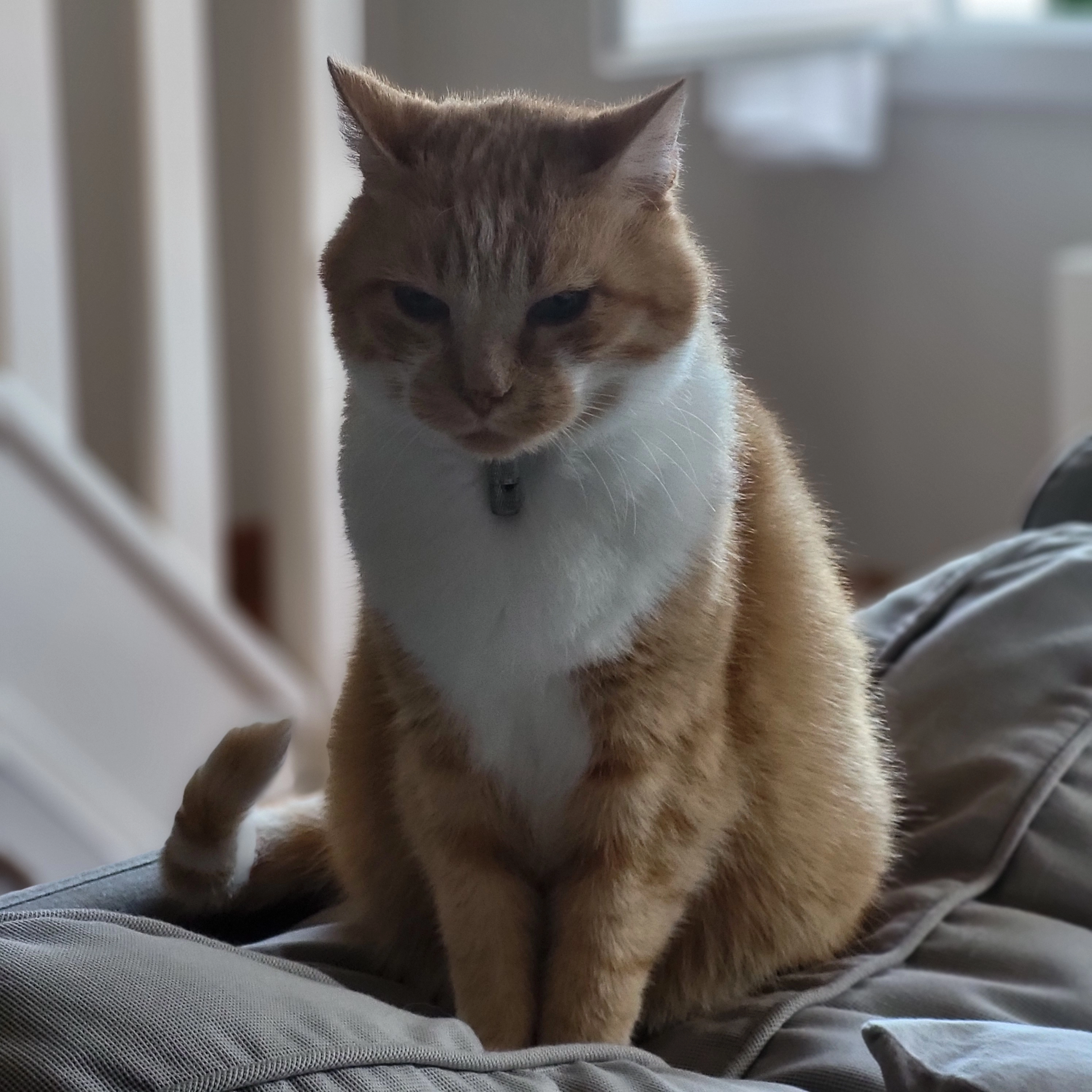 Flocon - 14 bis Rue du Puits, Sainte-Adresse