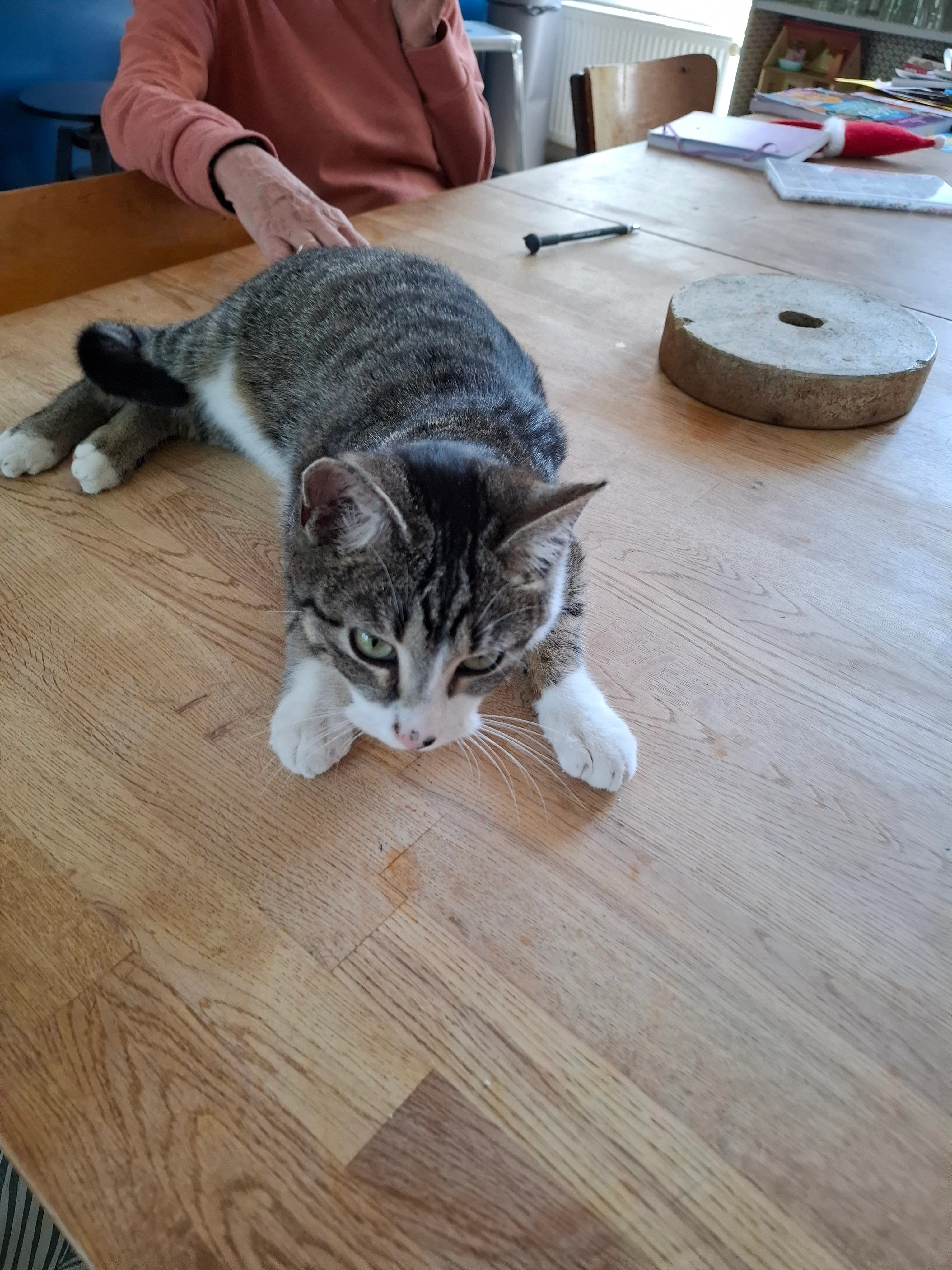 Vahiné - 4 Rue du Canal, Saint-Pierre-lès-Nemours