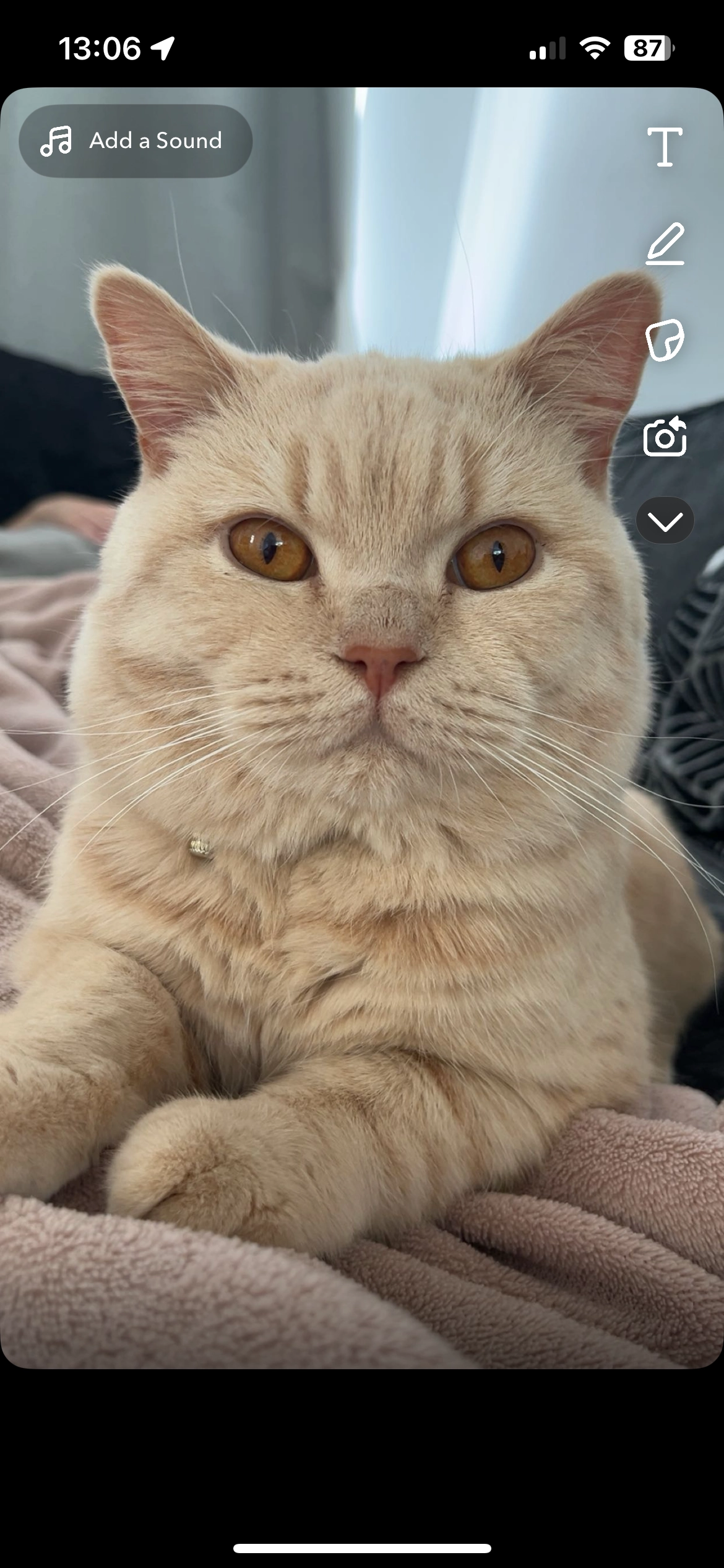 Mario  - Saint Nicolas Road, Nuneaton