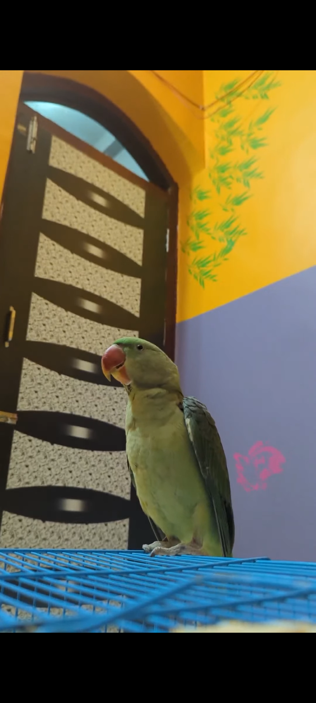 Totu - Nh20, Koderma