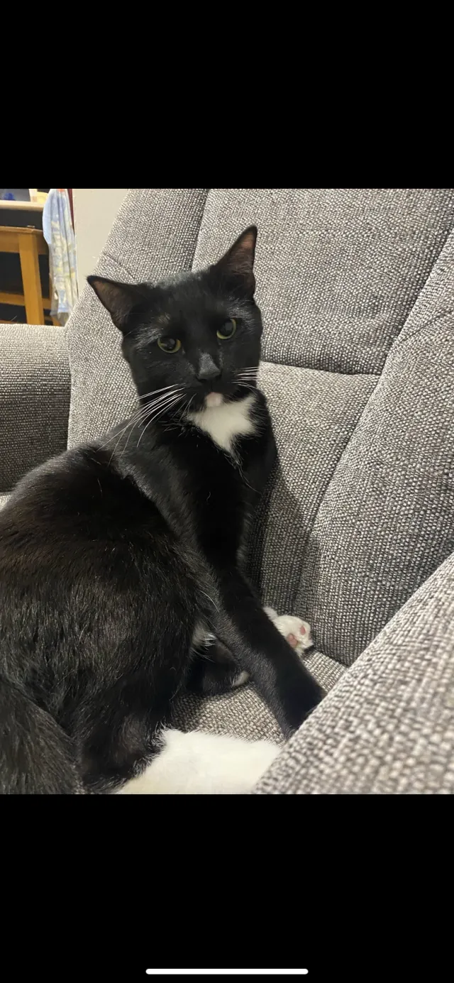Socks - Latimer Road, Leicester