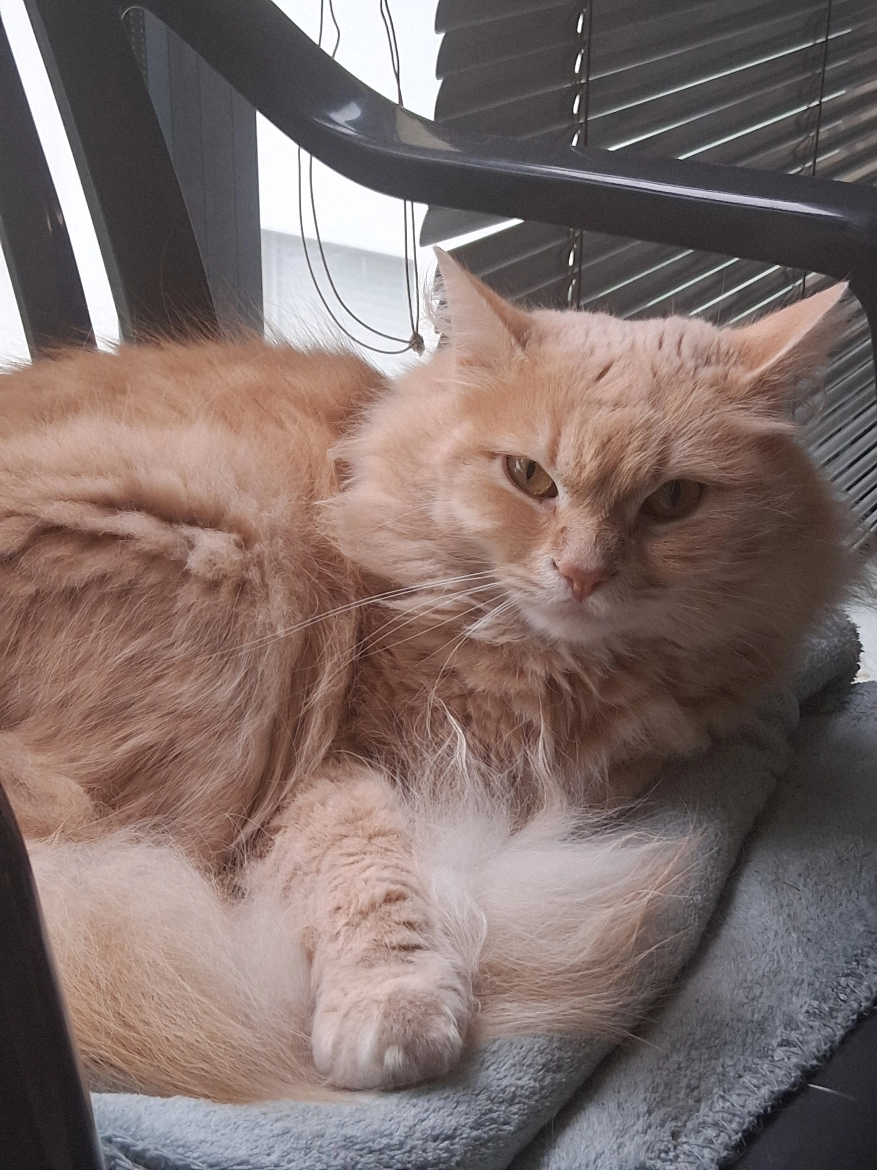 Slash - Rue Du Coteau, Nantes