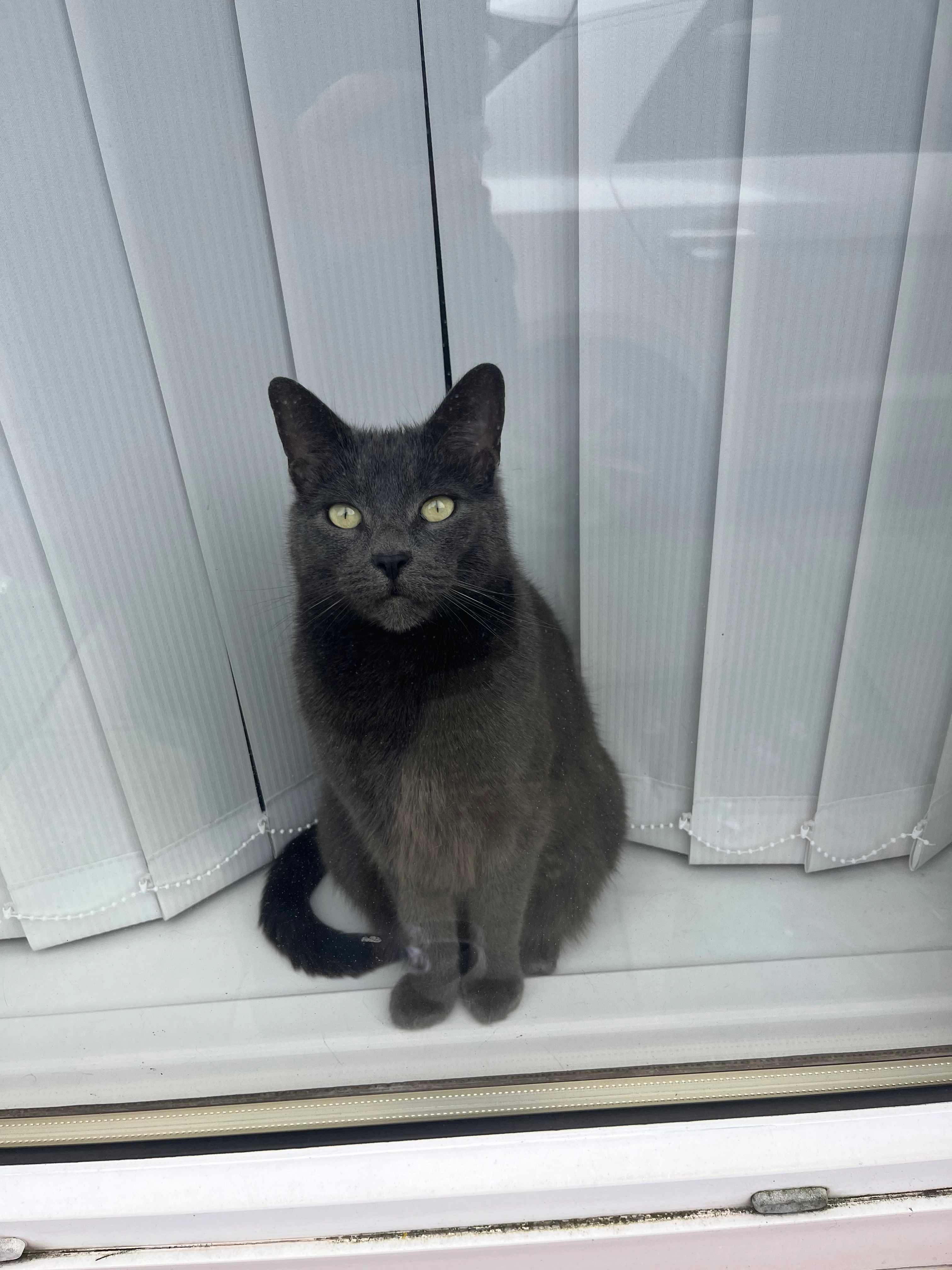 Walter - Agnes Maria Street, Newcastle upon Tyne