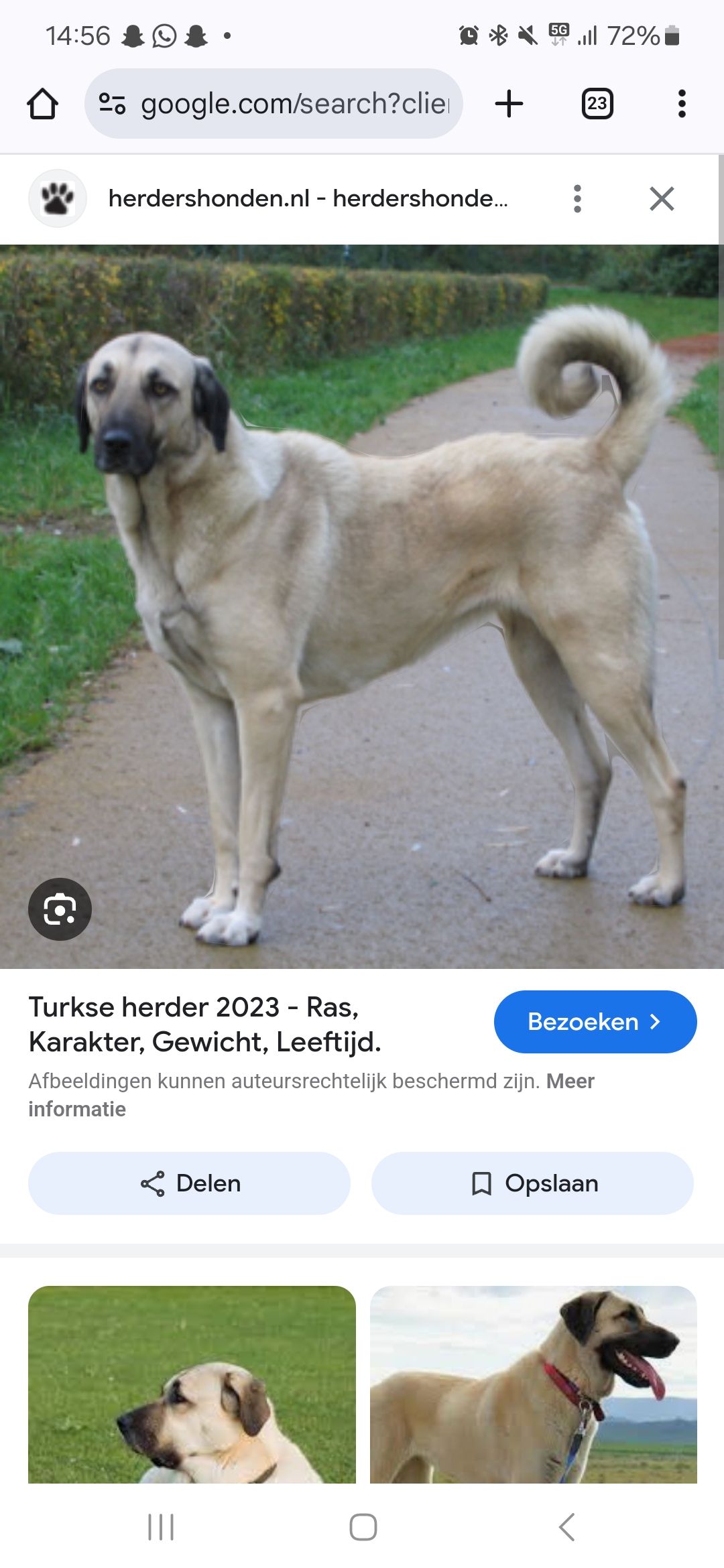 Luna - Valkenswaardseweg, Leende