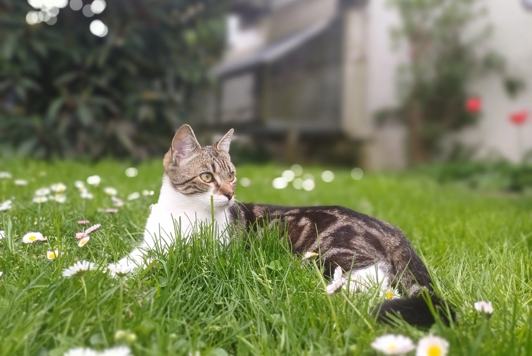 Findus - Grantschener Straße, Ellhofen