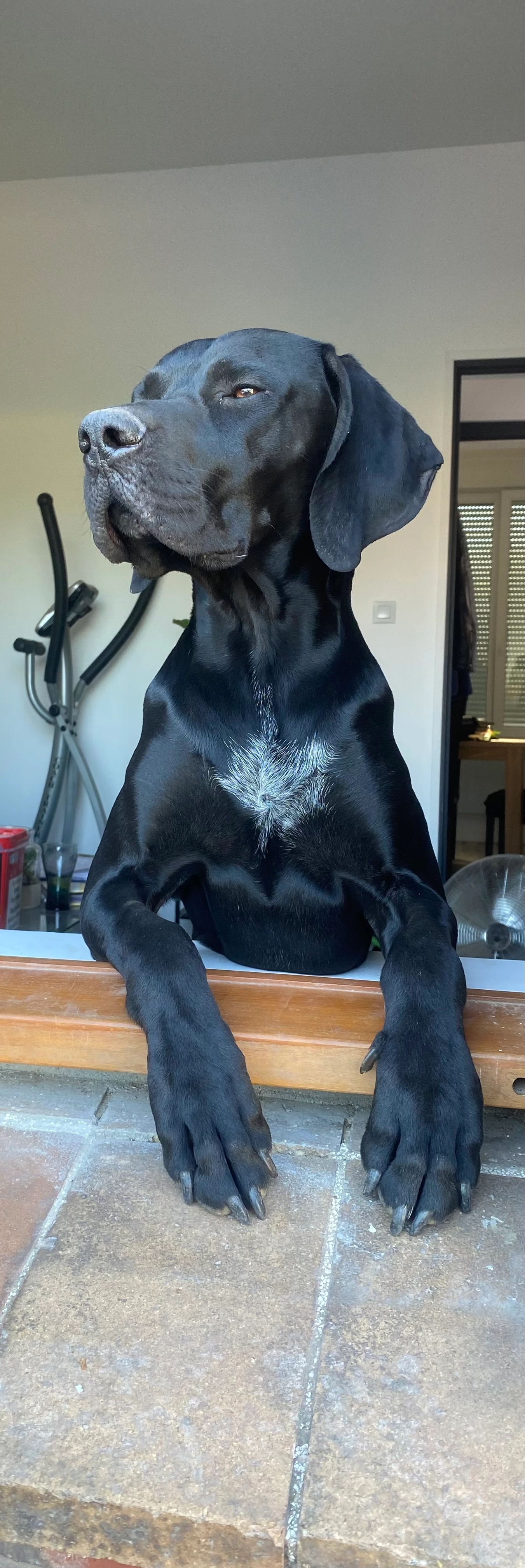 Sultan  - 7 Rue Paul Vaillant-Couturier, Saint-Hilaire-lez-Cambrai