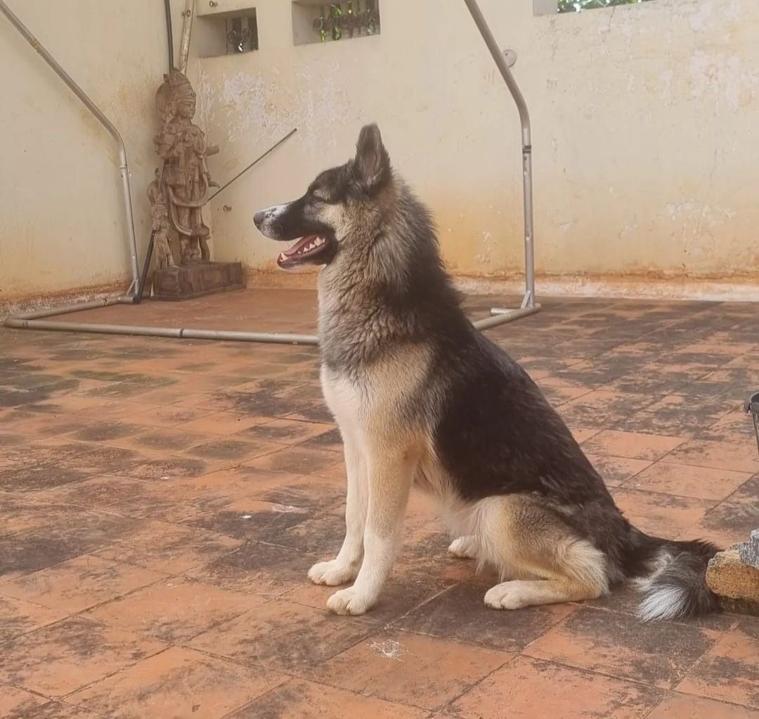 Raya - Rt Nagar Main Road, Bengaluru