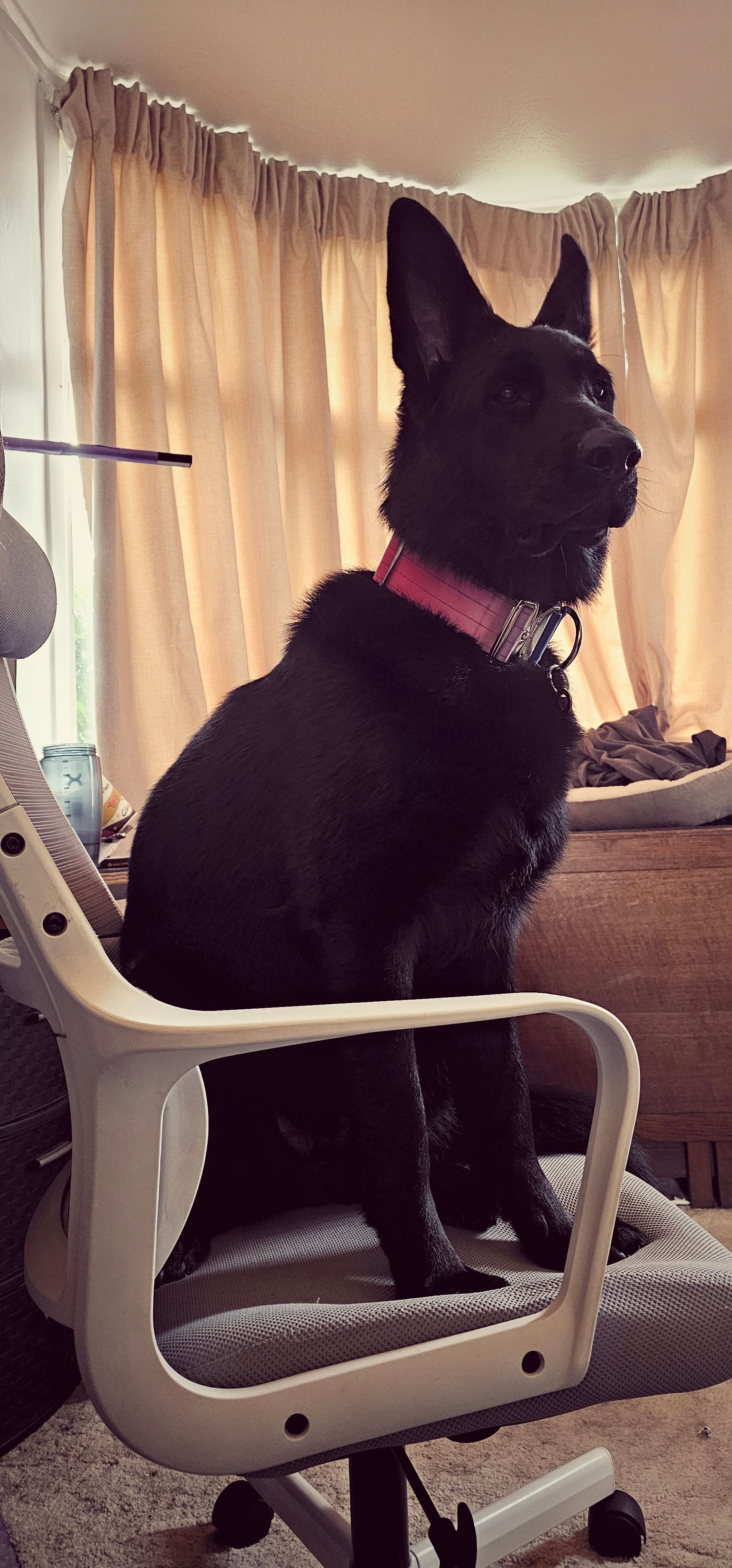 LIJA - Hemlingford Road, Sutton Coldfield