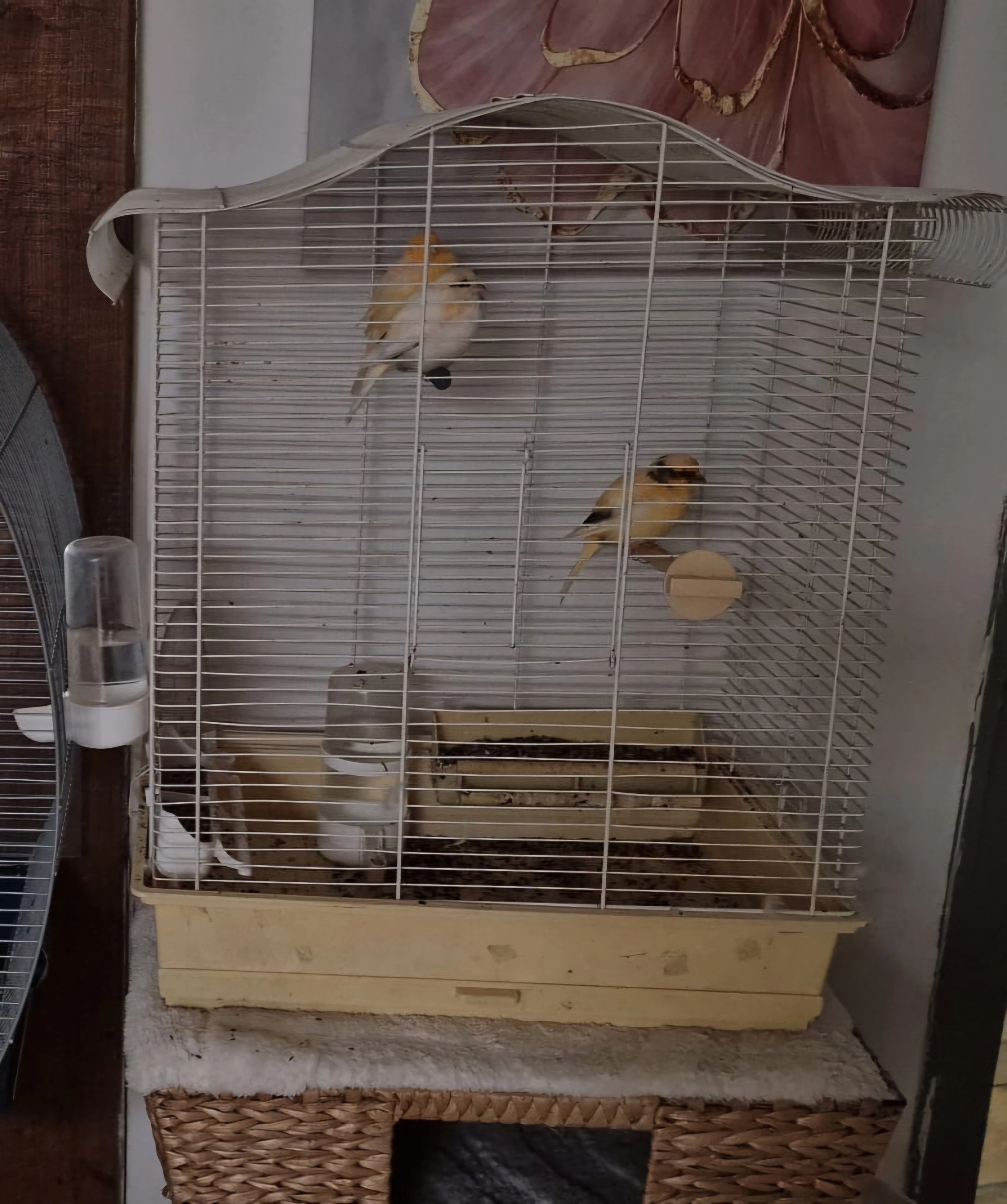 Ils ont pas de nom - Rue du Soleil, Renaix