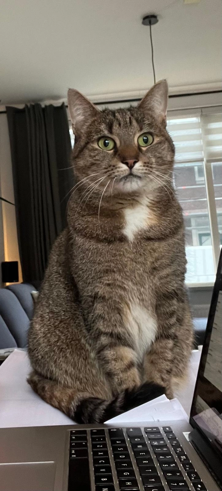 Luna - Geraniumlaan, Aalst