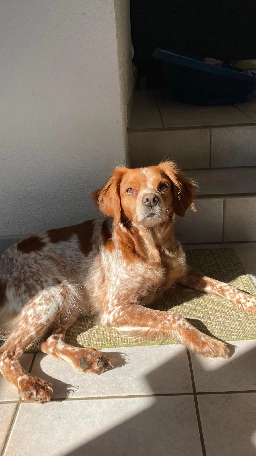 Ola  - Rue De Gueldry, Bucey-lès-Gy