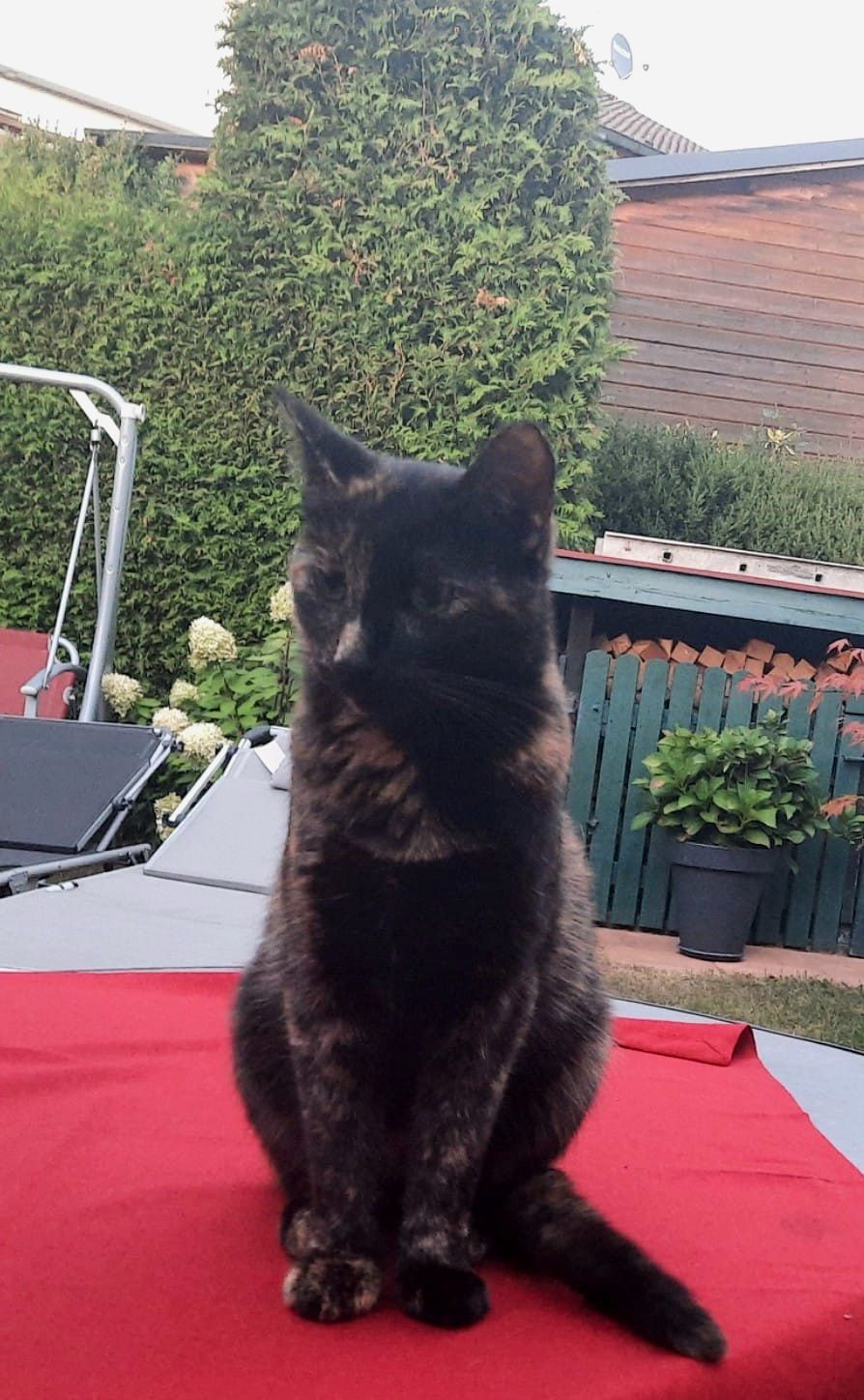 Lilli - In Der Mark, Finnentrop