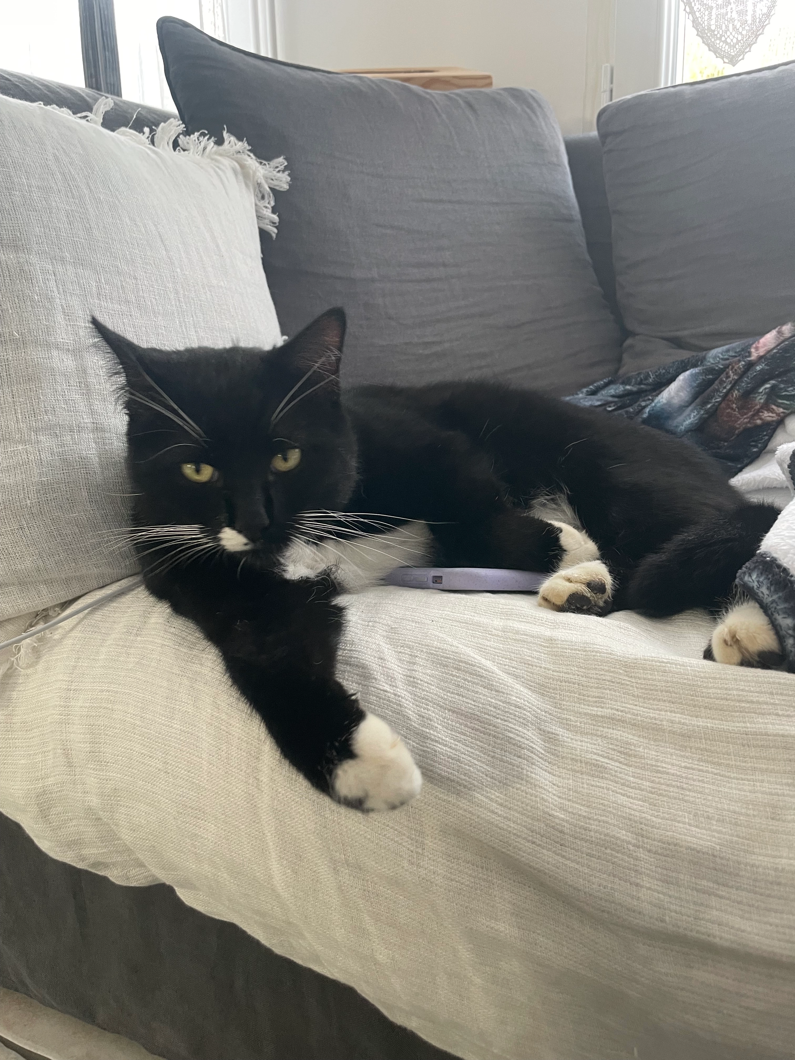 Newton - 1 Rue des Récits, Michery