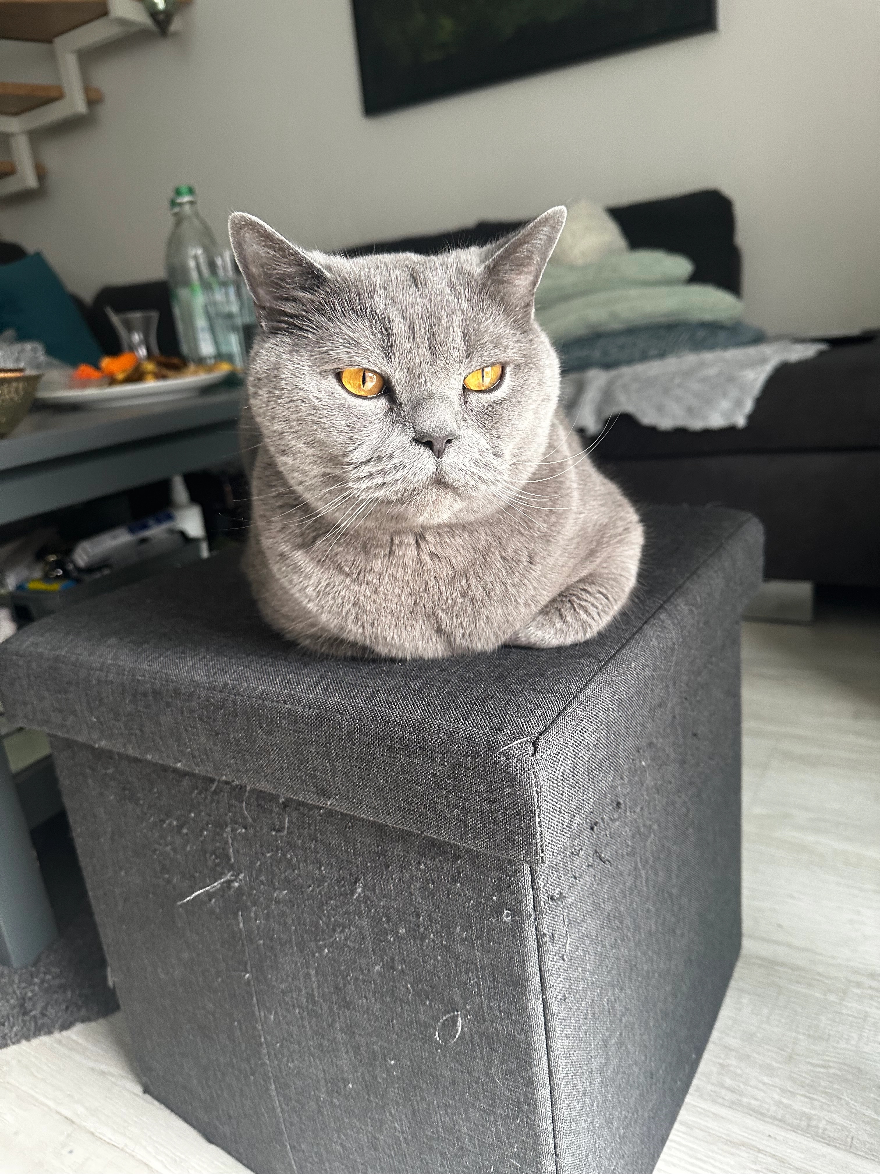 Pasha - Dr.-Meyer-Spreckels-Straße, Fürth