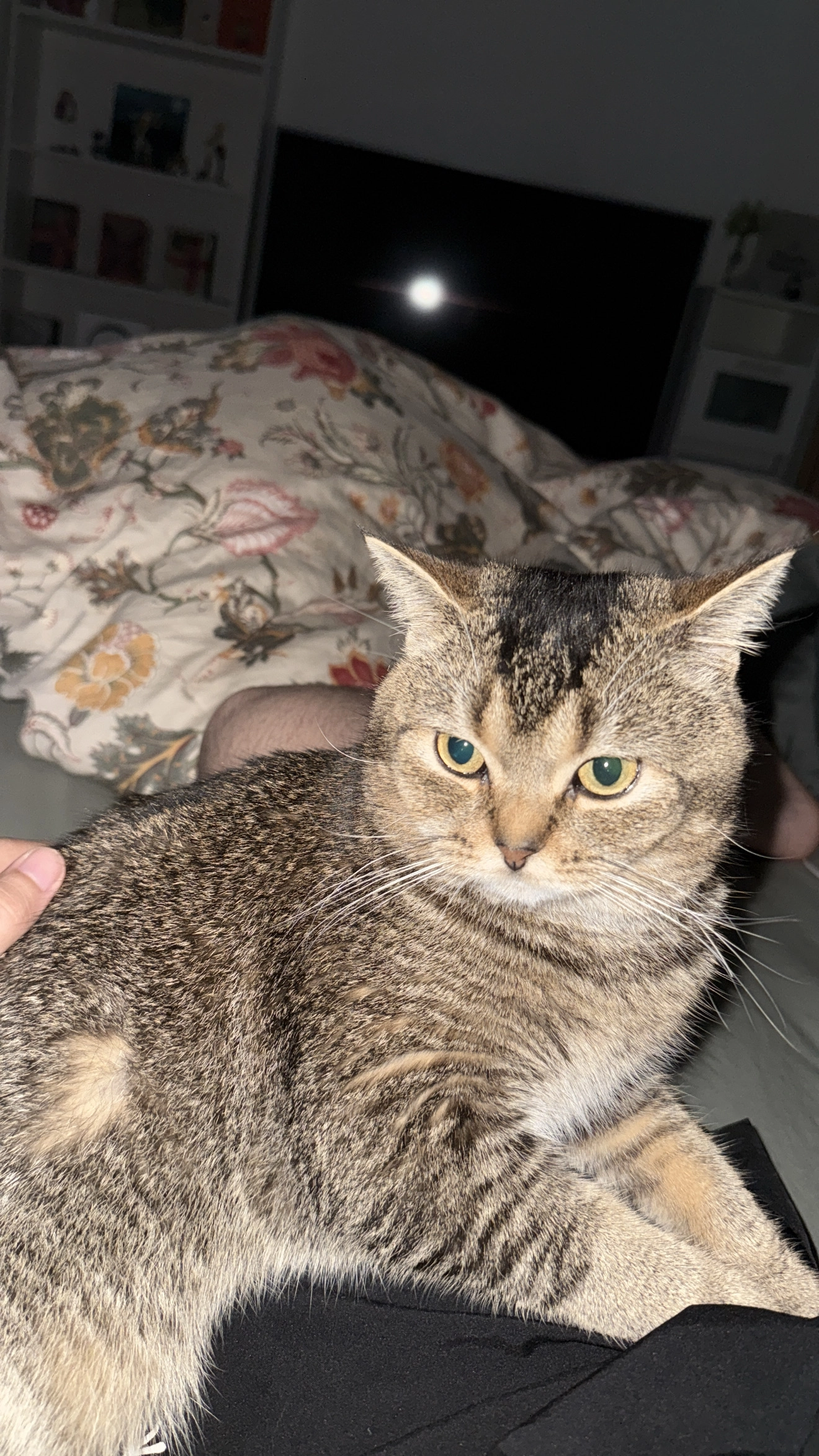 Nero - Albert-Schweitzer-Straße, Eppelsheim