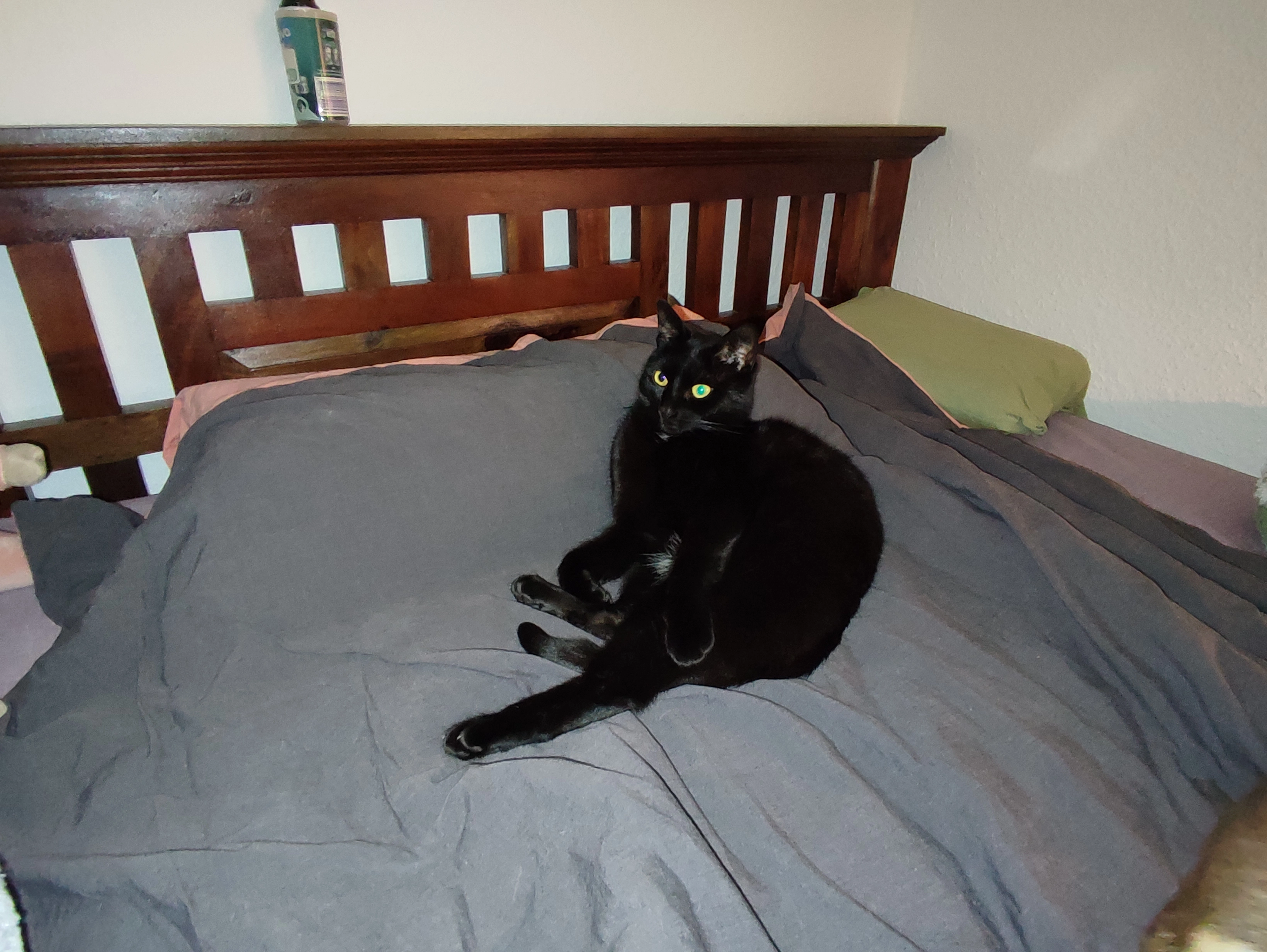 Lulu - Berliner Ring, Tübingen