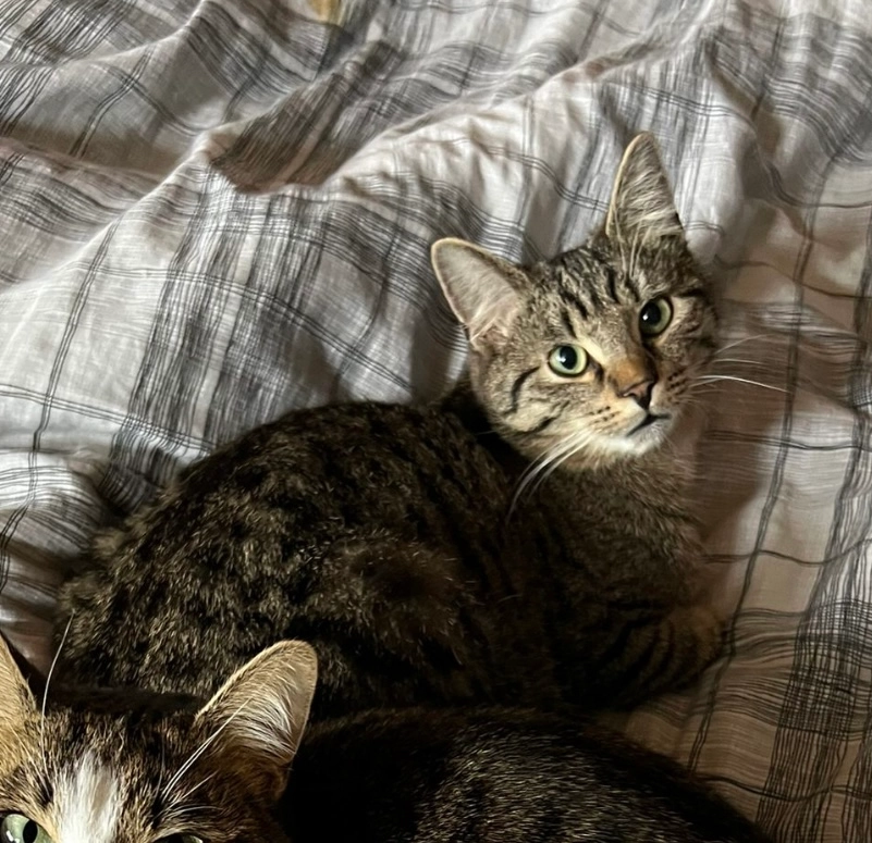 Elendil - Höhenweg, Herbertingen