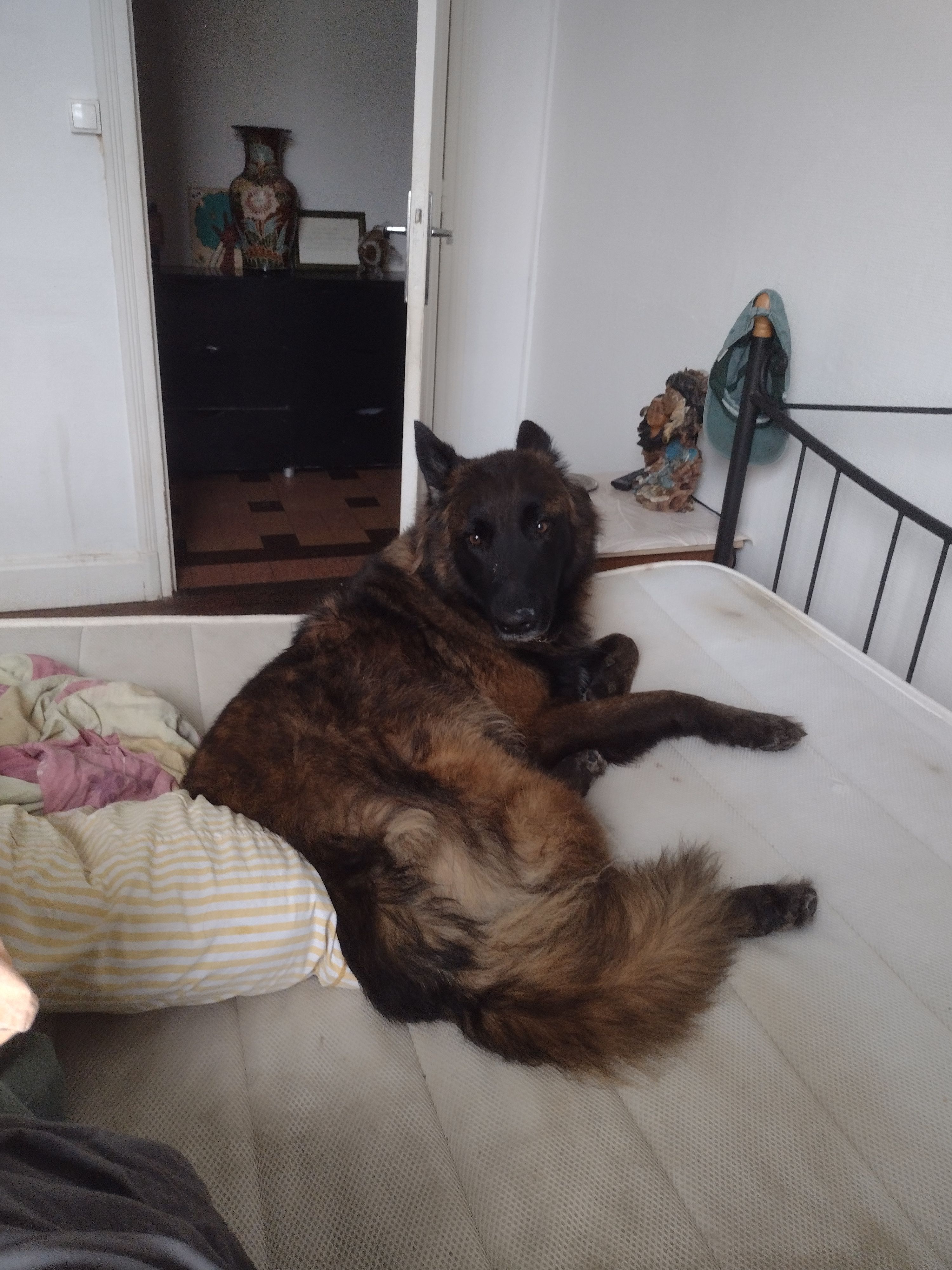 Metys  - Route de Colayrac, Colayrac-Saint-Cirq