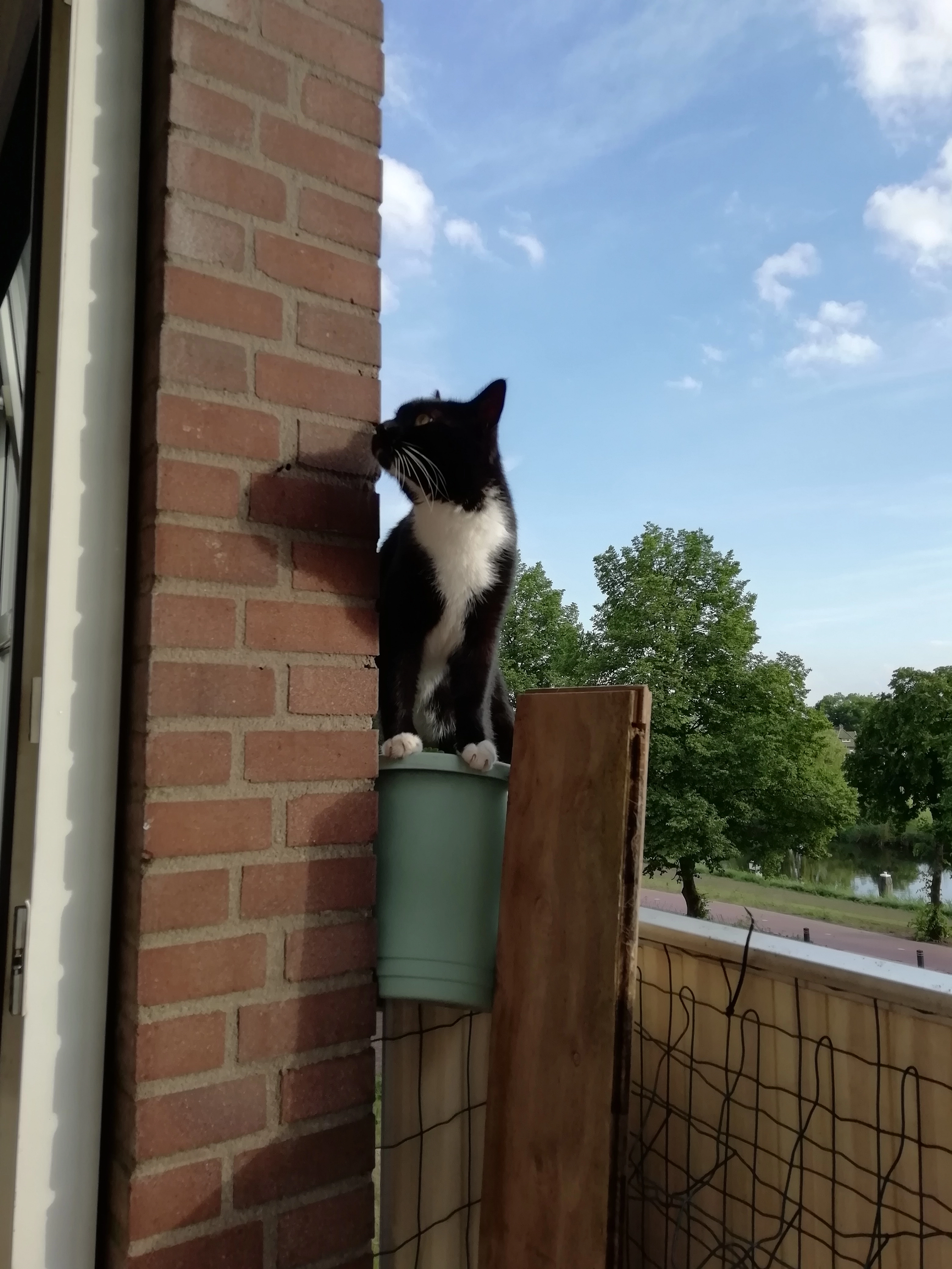 Pirate  - C Missetstraat, Doetinchem