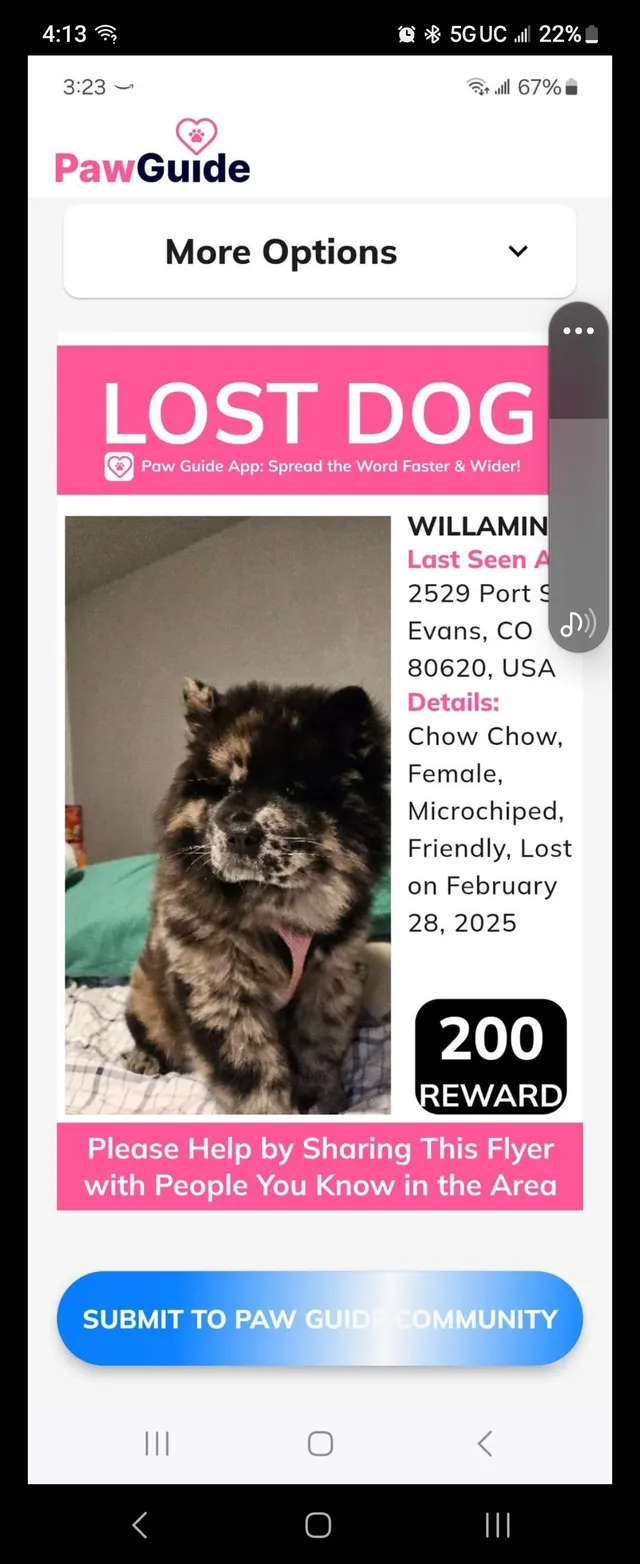 Willamina - 2529 Port St, Evans