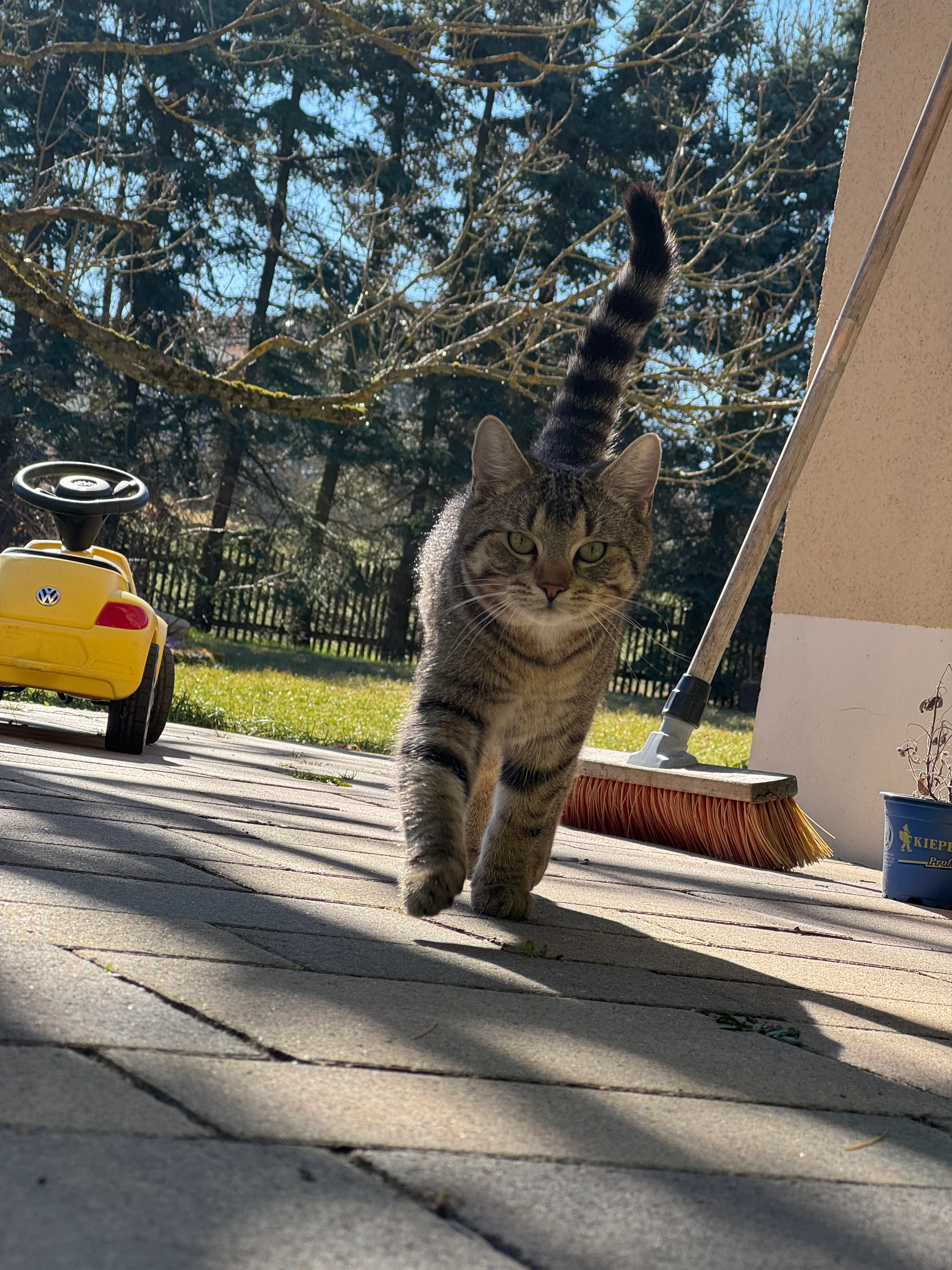 Puki - Autohaus Dippoldiswalde, Dippoldiswalde