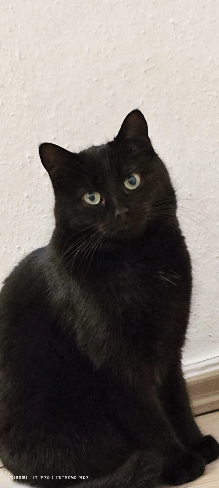 Bagira - Ammerstraße, Mühlhausen