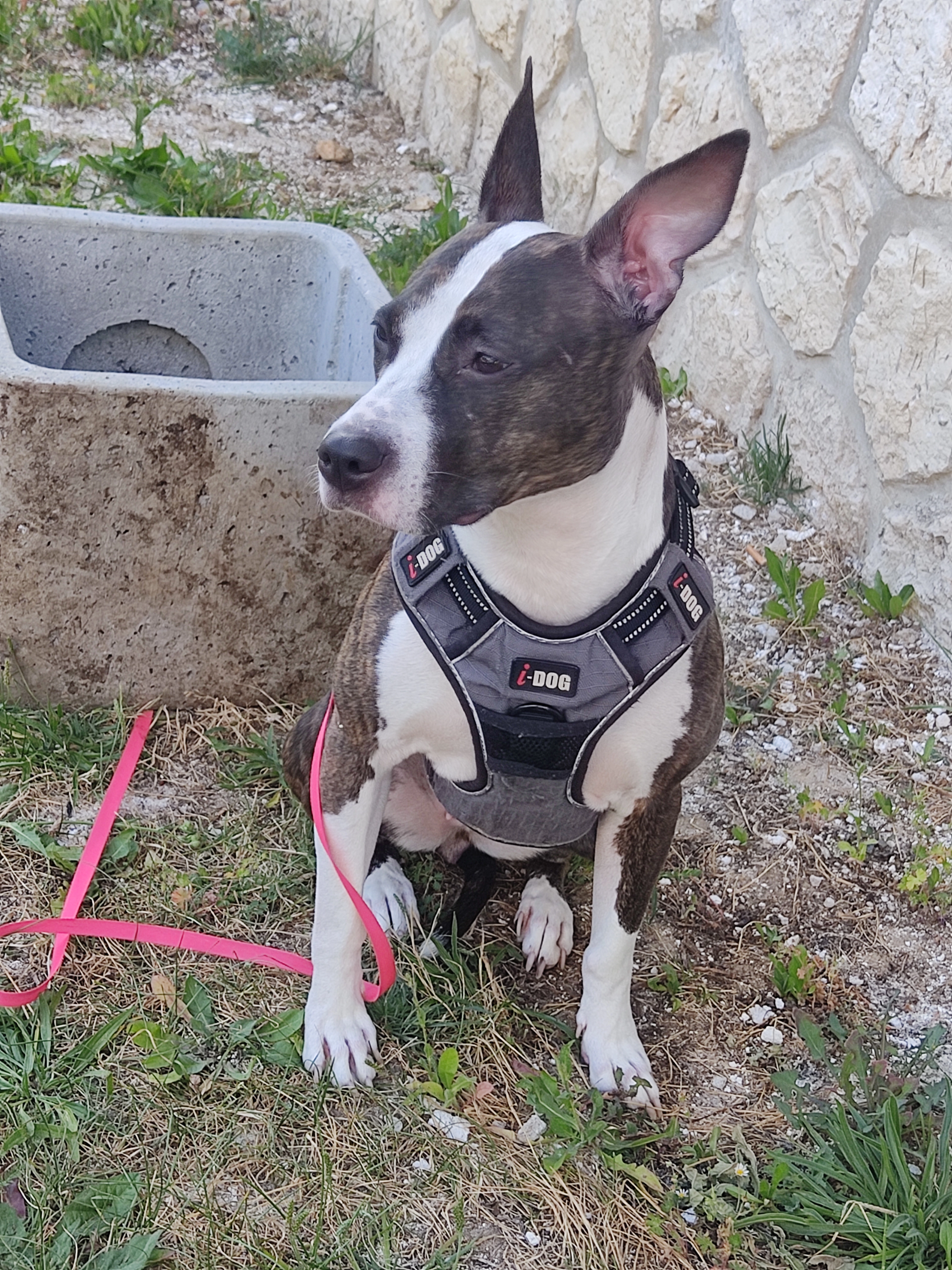 Shypie  - Place Robert Dubois, Montargis