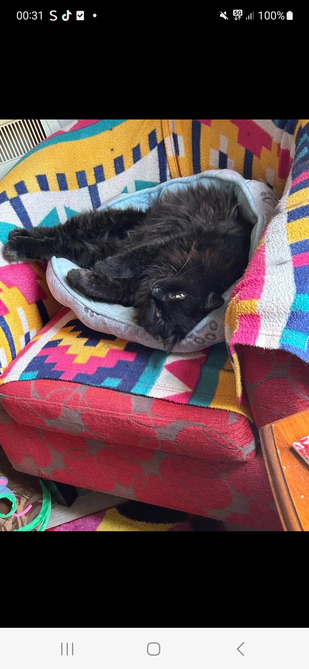 Izzy - Lyndhurst Road, Whitley Bay