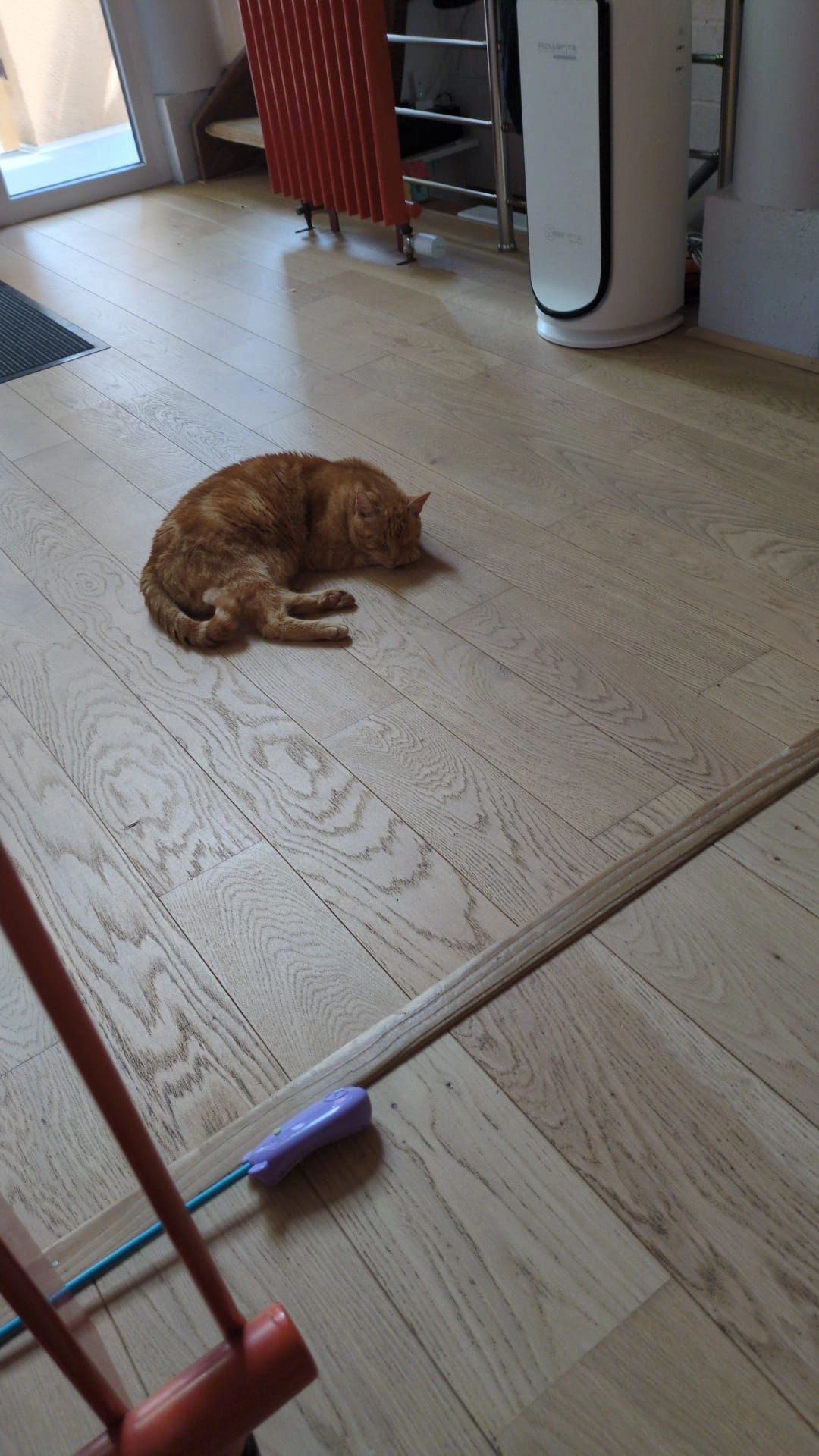 Tishy  - 24 Route d'Eguisheim, Ingersheim