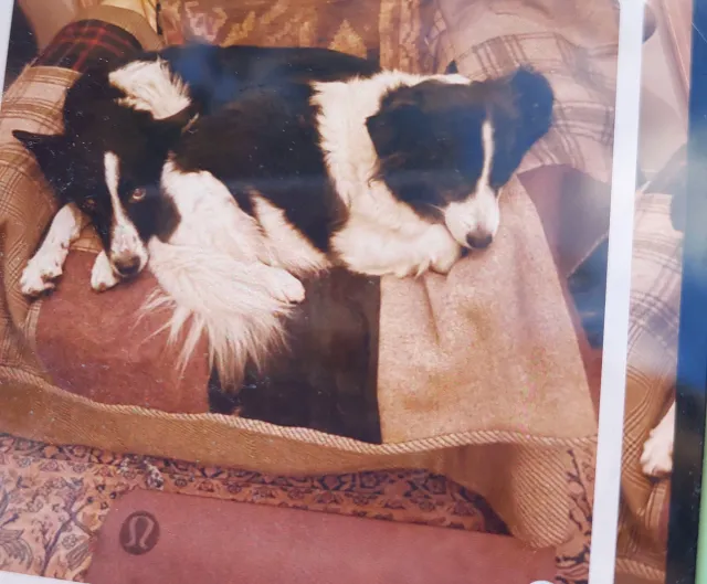 Pixie - W6 0, London