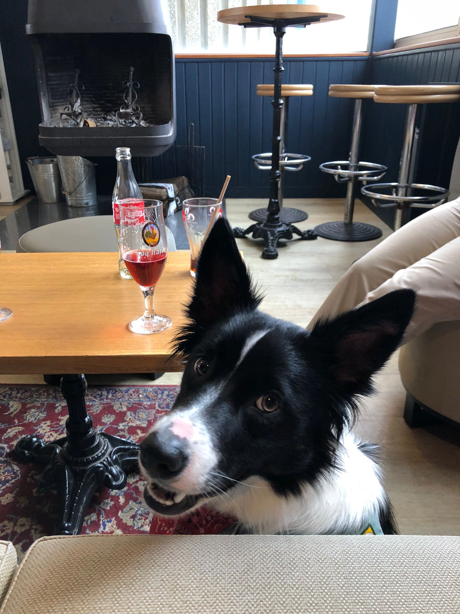 Roxy - Col d'Ibardin, Urrugne