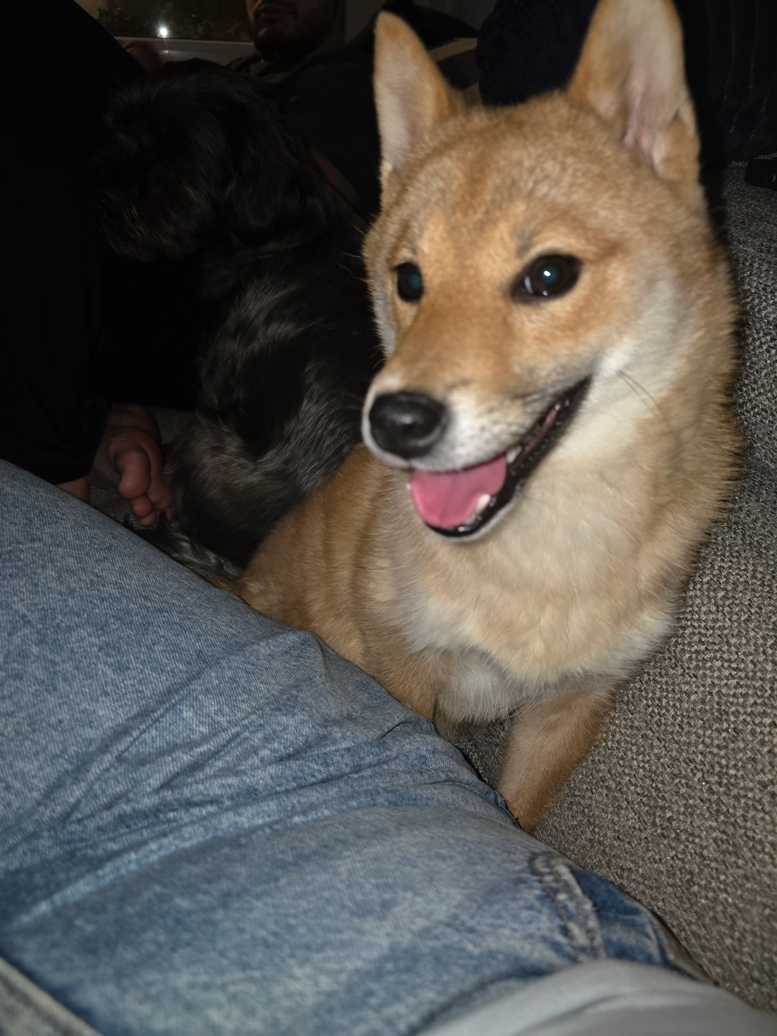 Guara/Boka - Grote Markt, Mechelen
