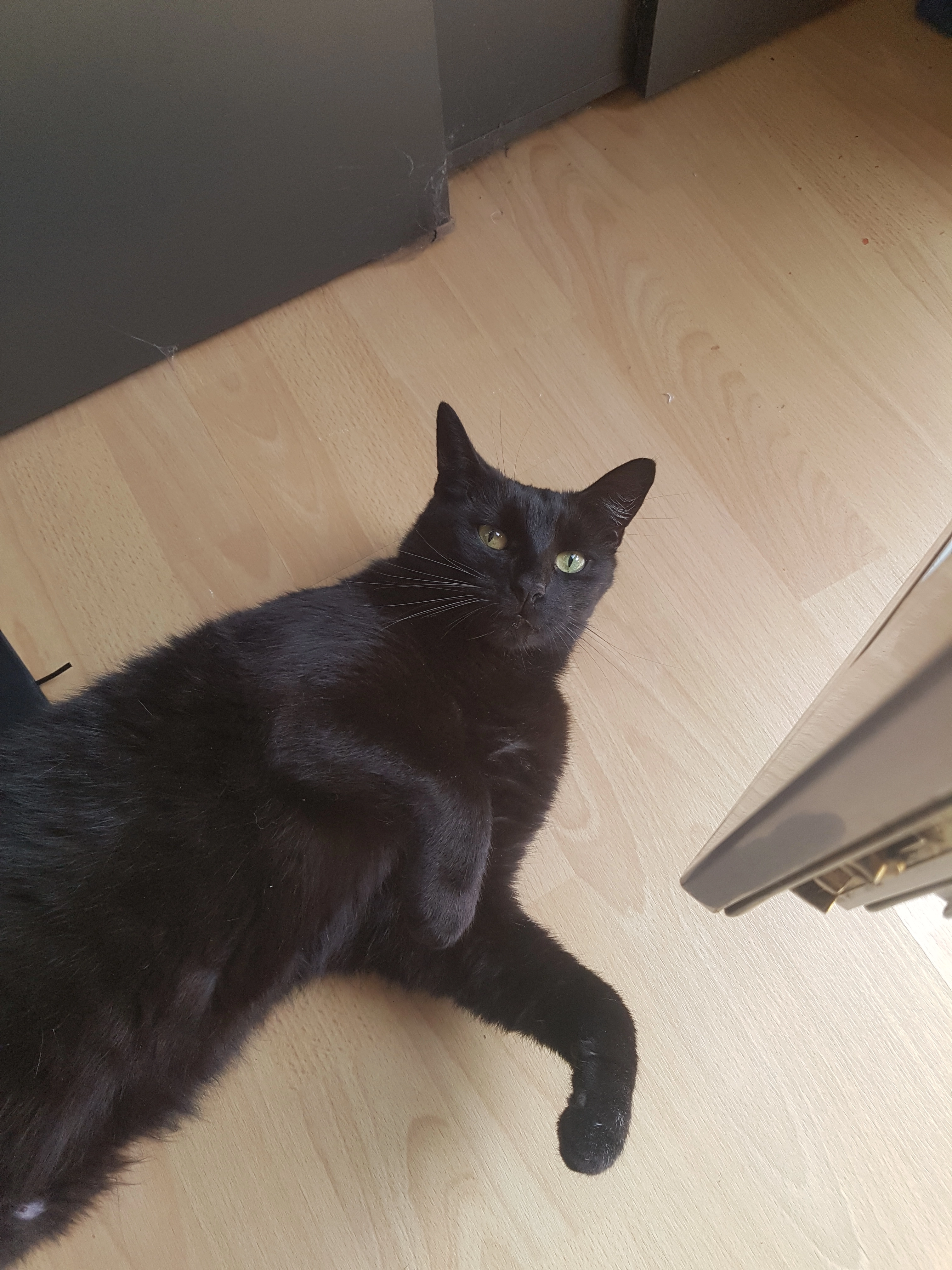 Dante - Bonner Straße, Hennef