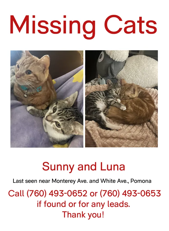 Sunny - 451 W Monterey Ave, Pomona
