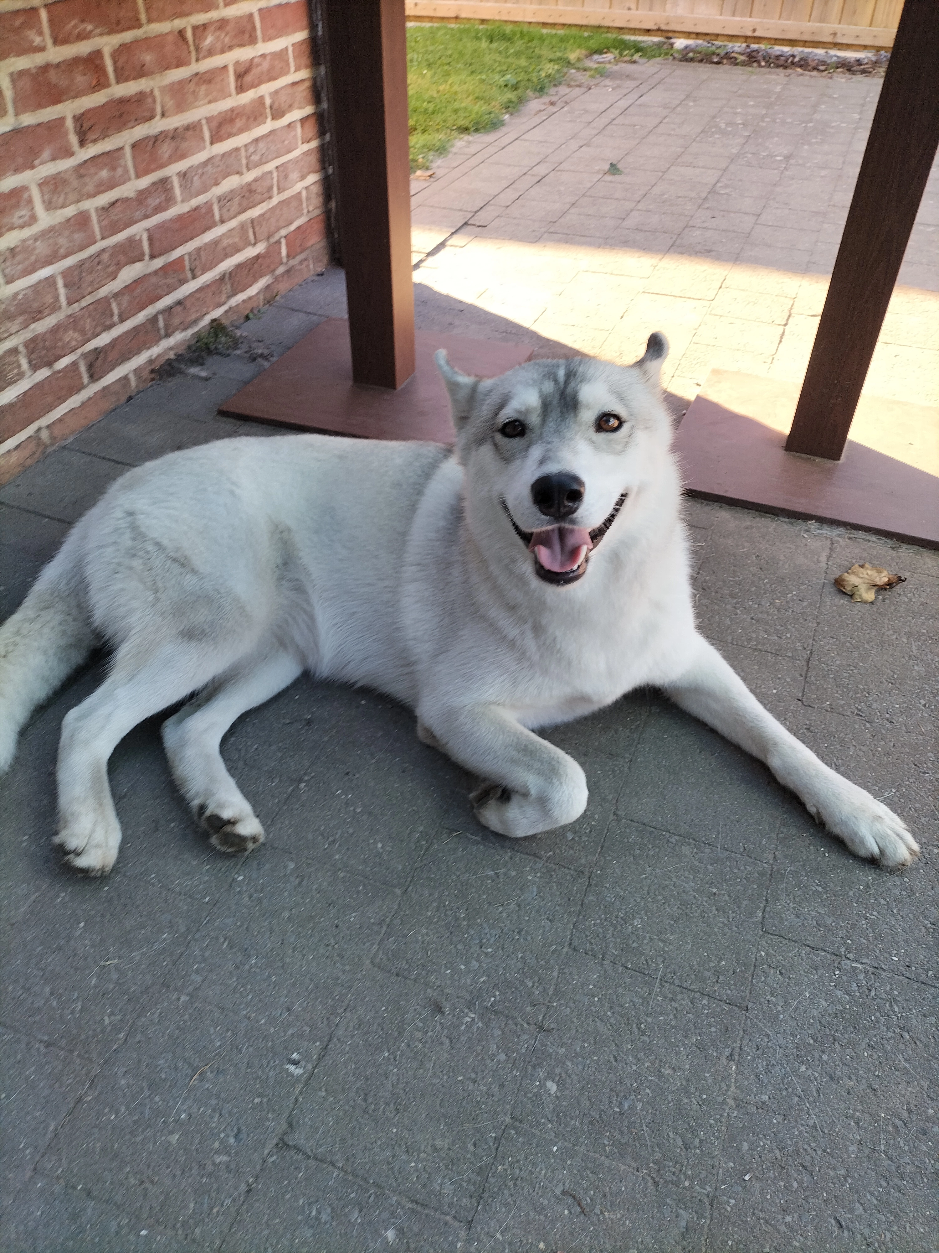 Whisper chip 947000000841639 - Waterstraat, Hasselt