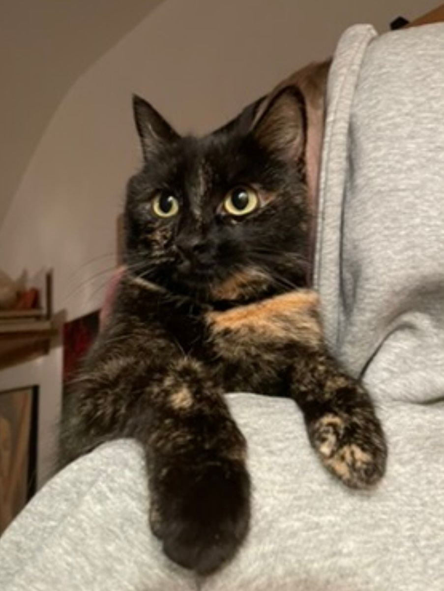 Jamie - Konrad Meindl Straße, Obernberg am Inn