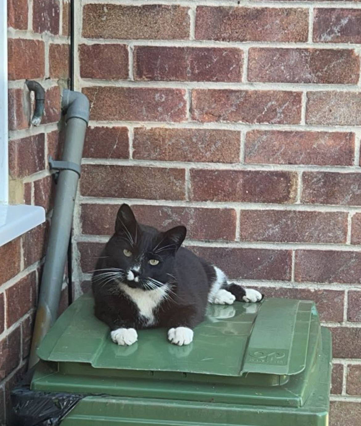 Chester - Tull Way, Thatcham