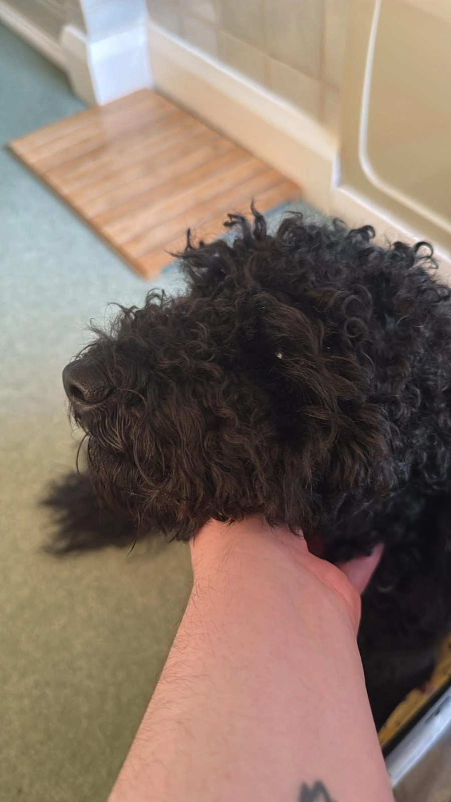 Alph - Leicester Road, Coalville