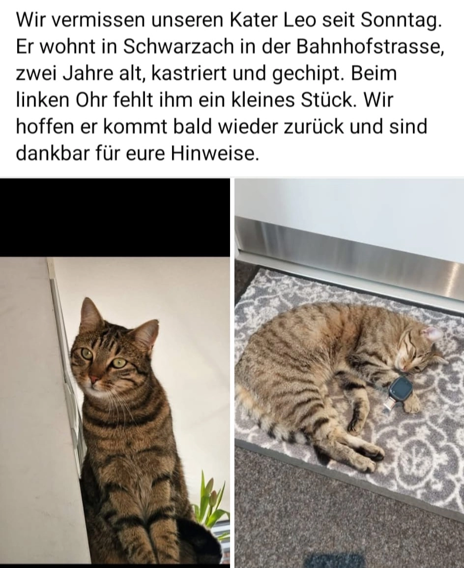 Leo - Bahnhofstraße 27, Schwarzach