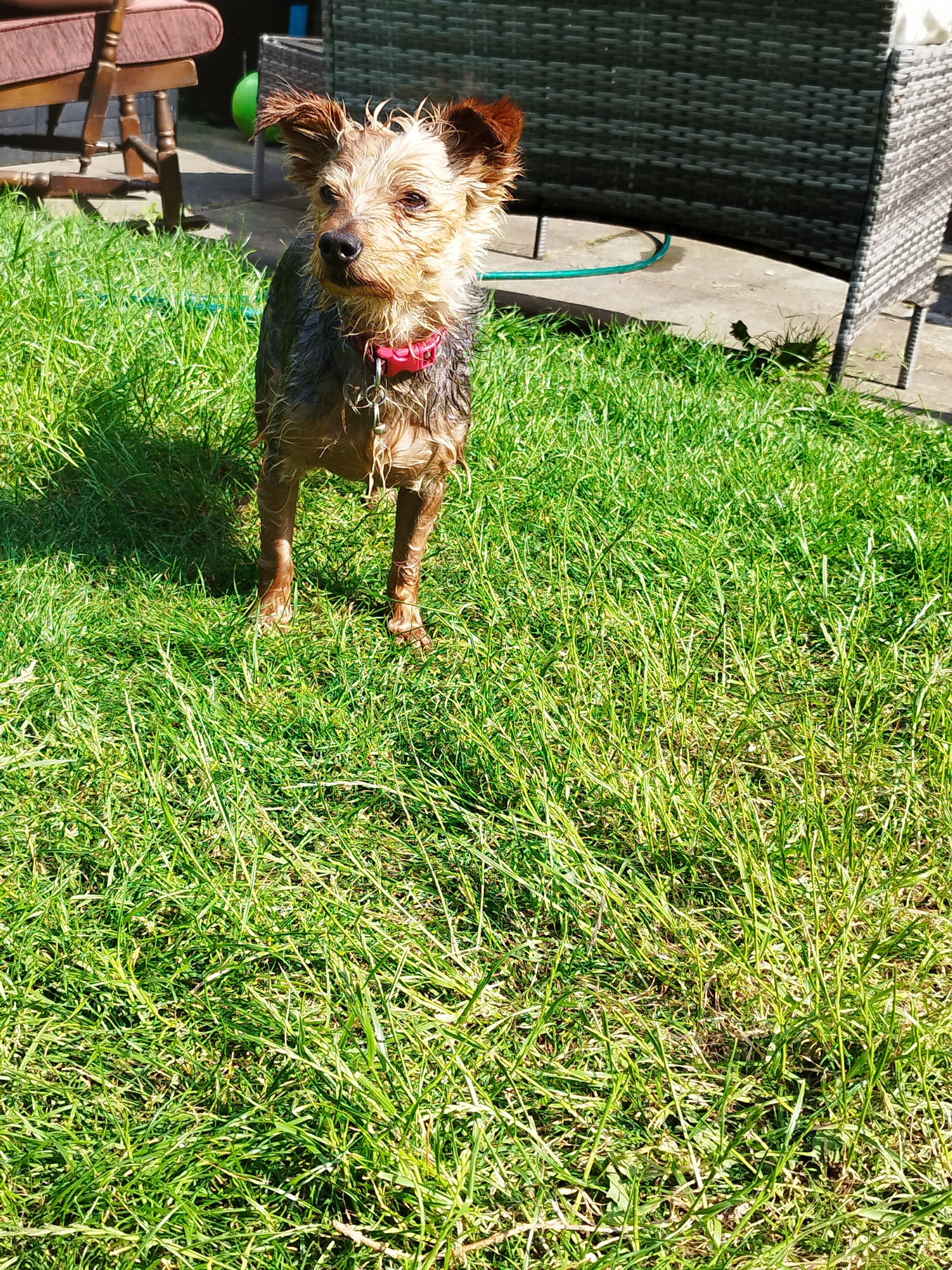 Luna - Grosvenor Road, Huddersfield