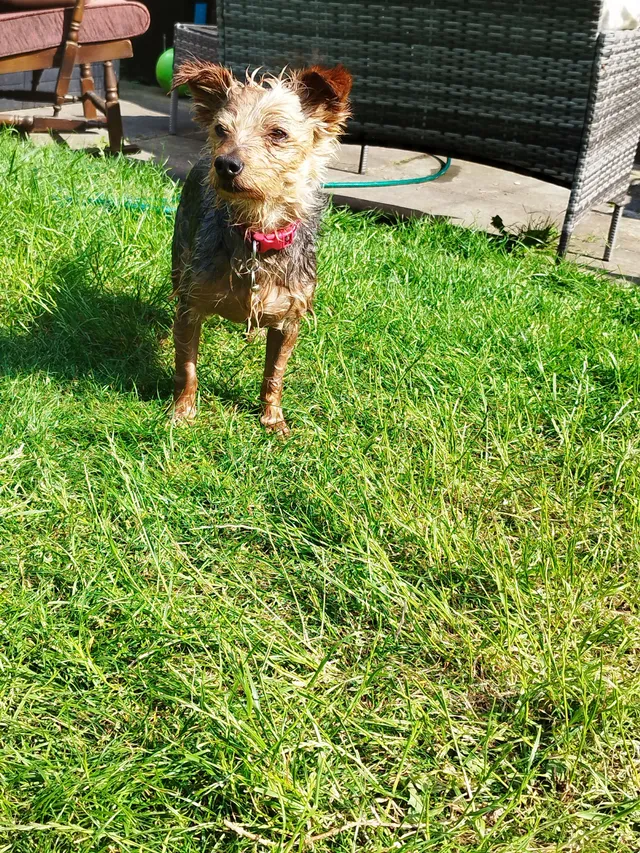 Luna - Grosvenor Road, Huddersfield