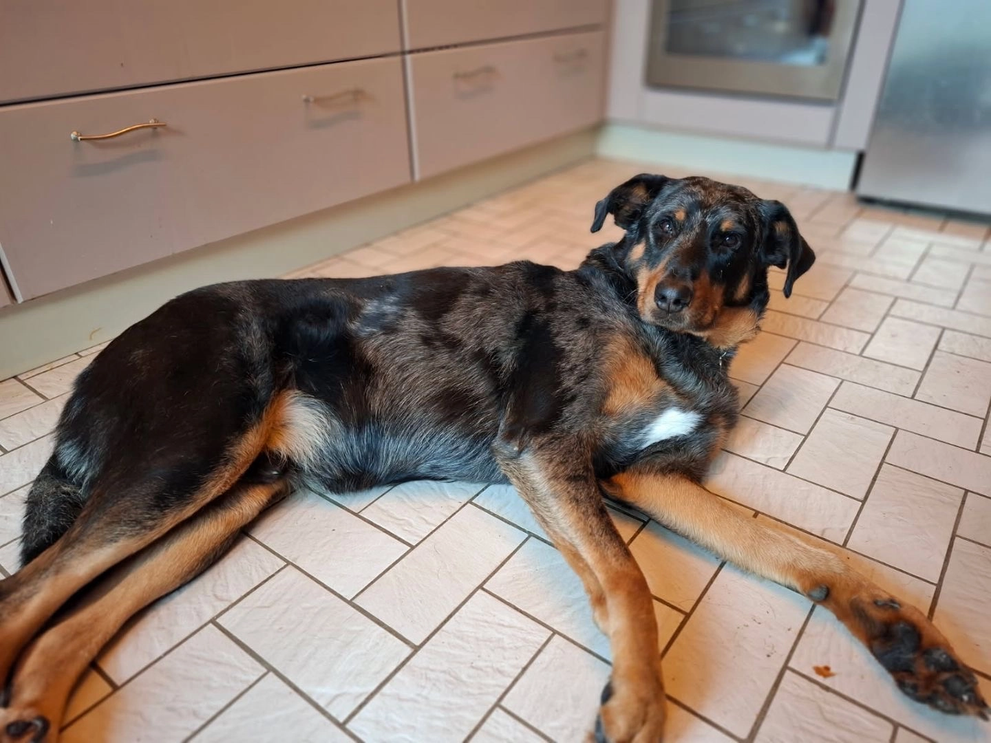 Stan - Rue Des Sorbiers, Beauraing