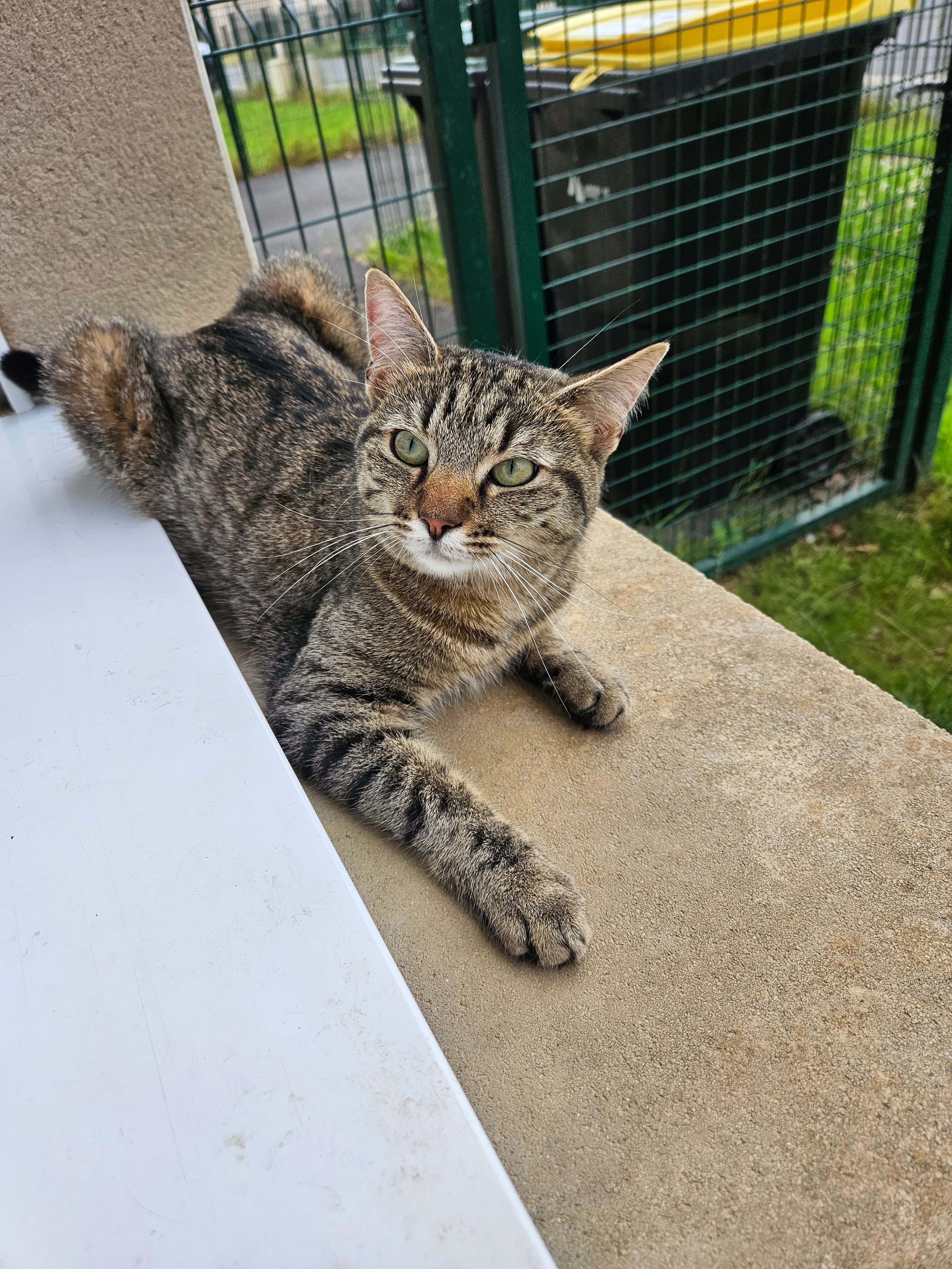 Lagertha - Rue Élisabeth Lion, Charleville-Mézières