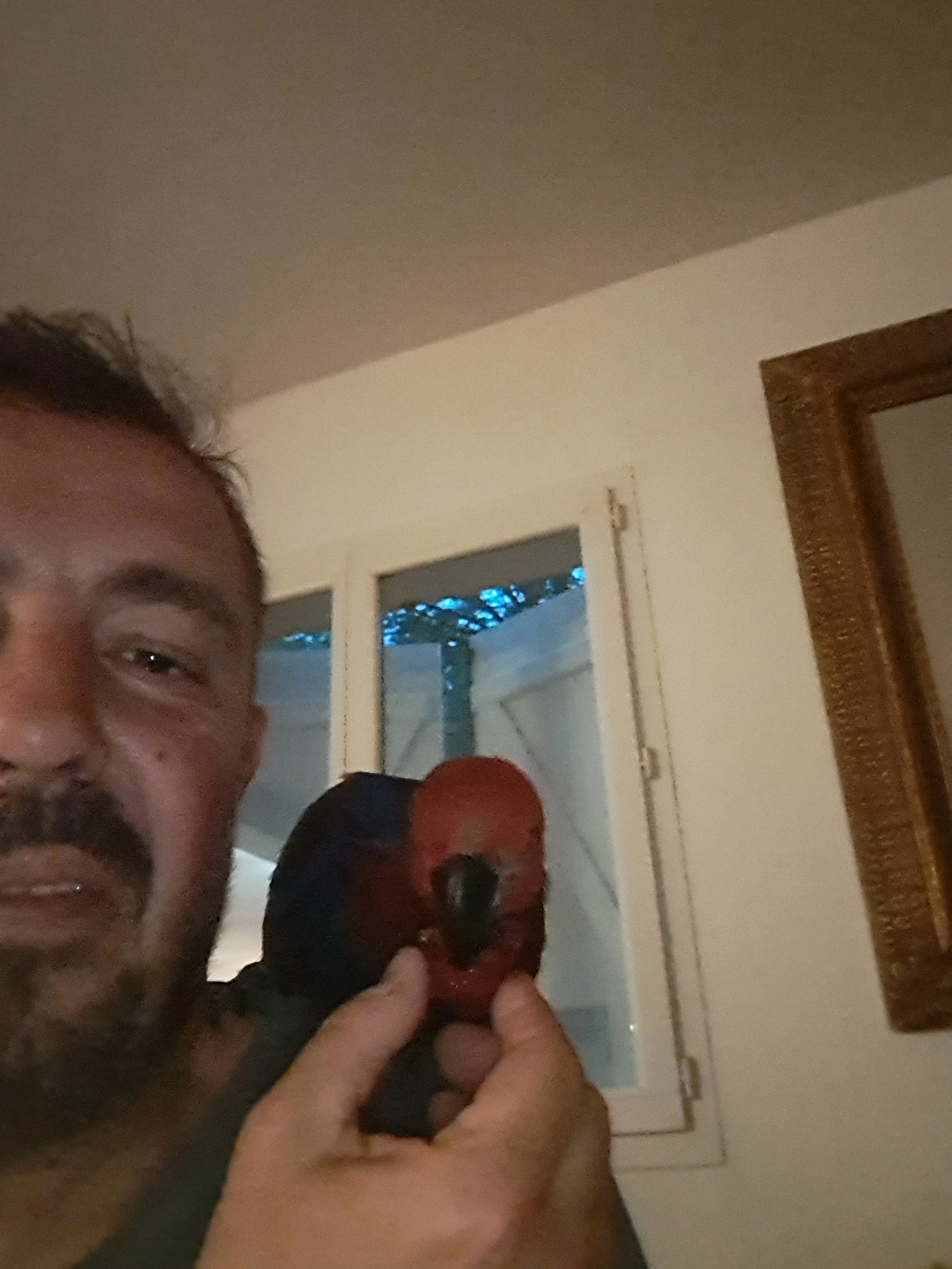 Kiki - 41 Rue Pourtayne, Beaupuy