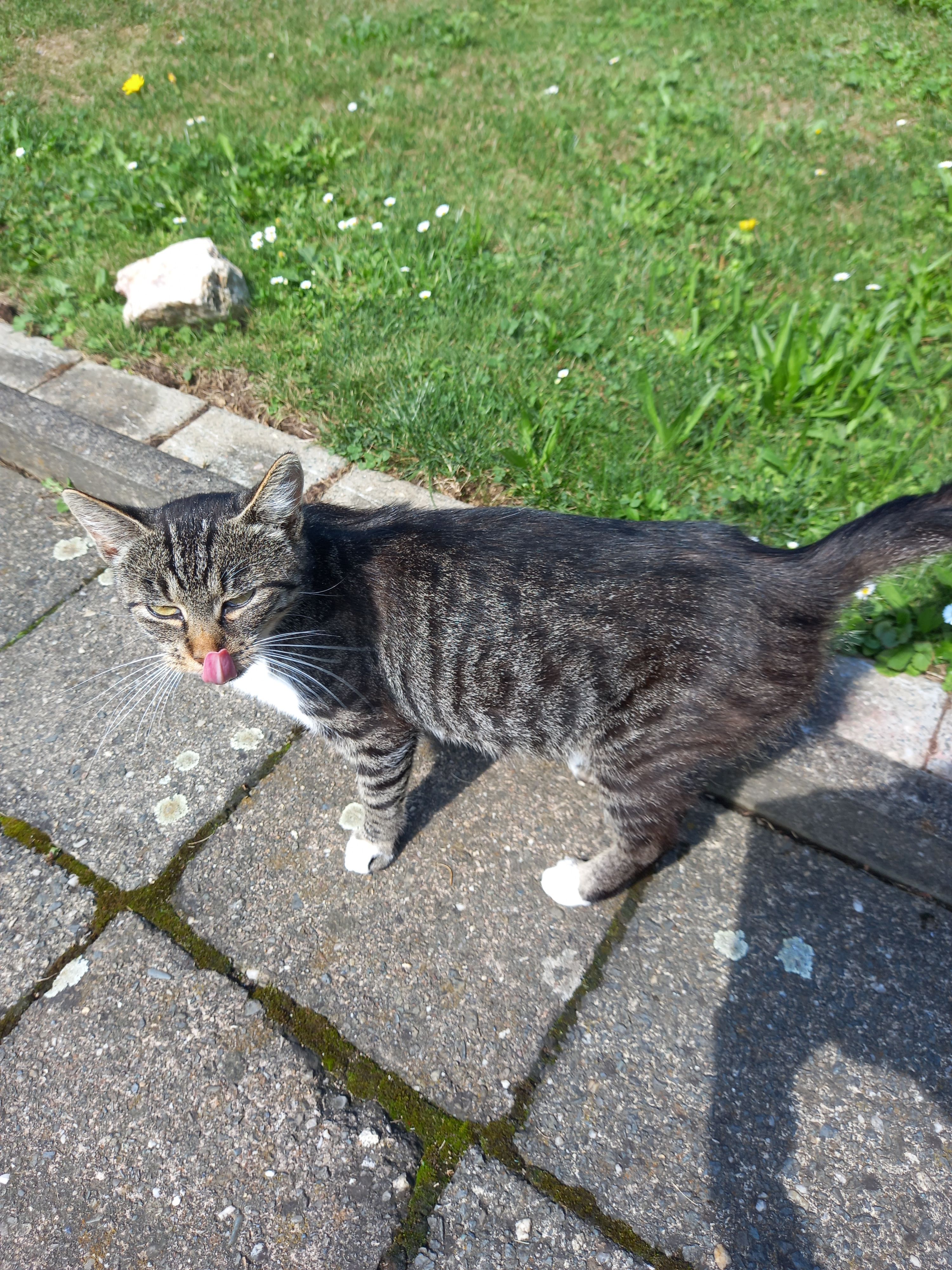 Susel - Ernst-Thälmann-Straße, Sehmatal